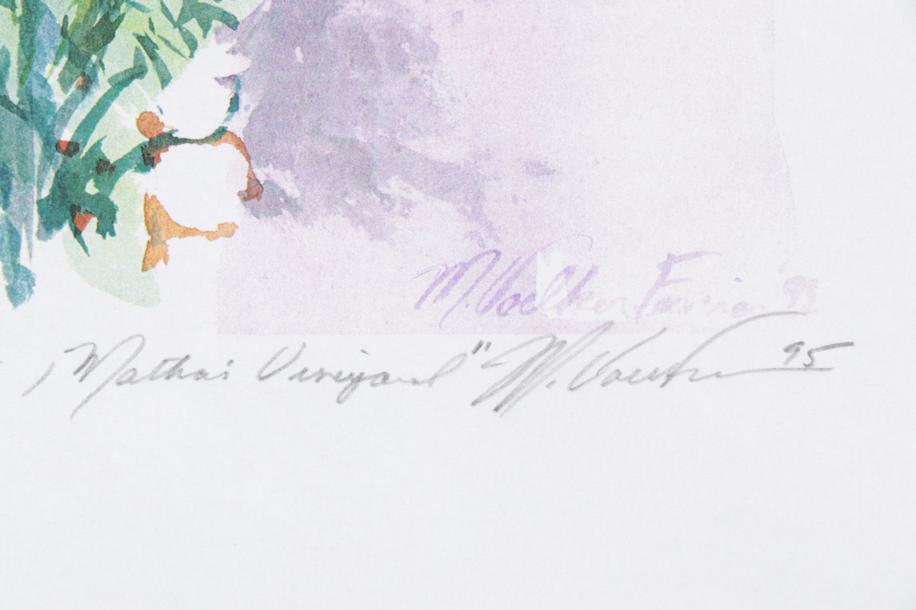 Collection of Margaret Voelker-Ferrier Digital Prints of Porches & Gardens