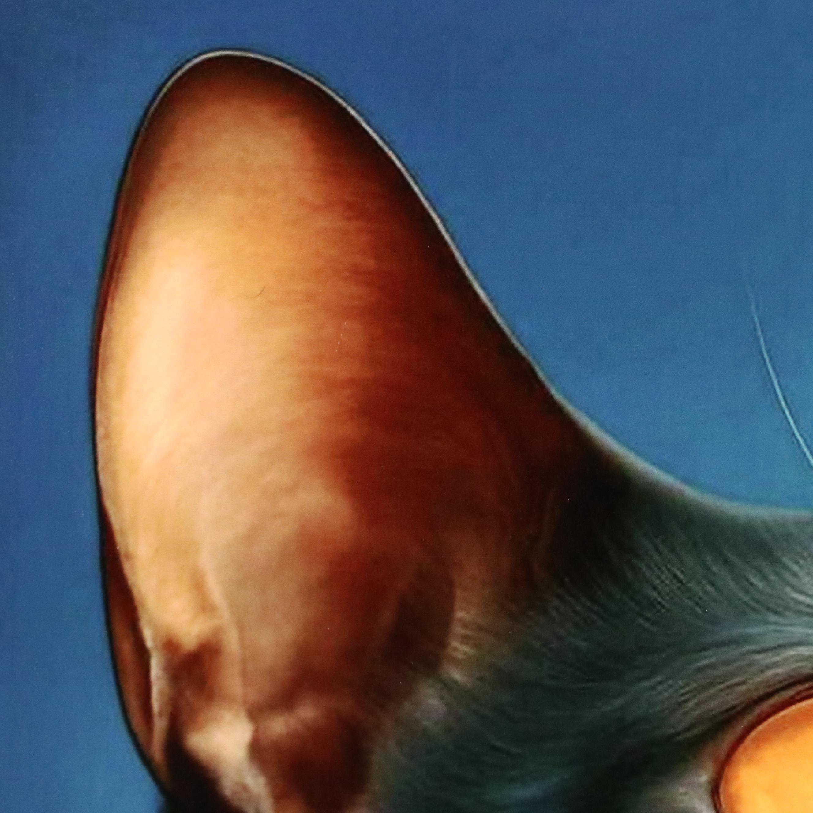 Slim Cat Productions Cat Portrait Giclée "Thorne," 2025