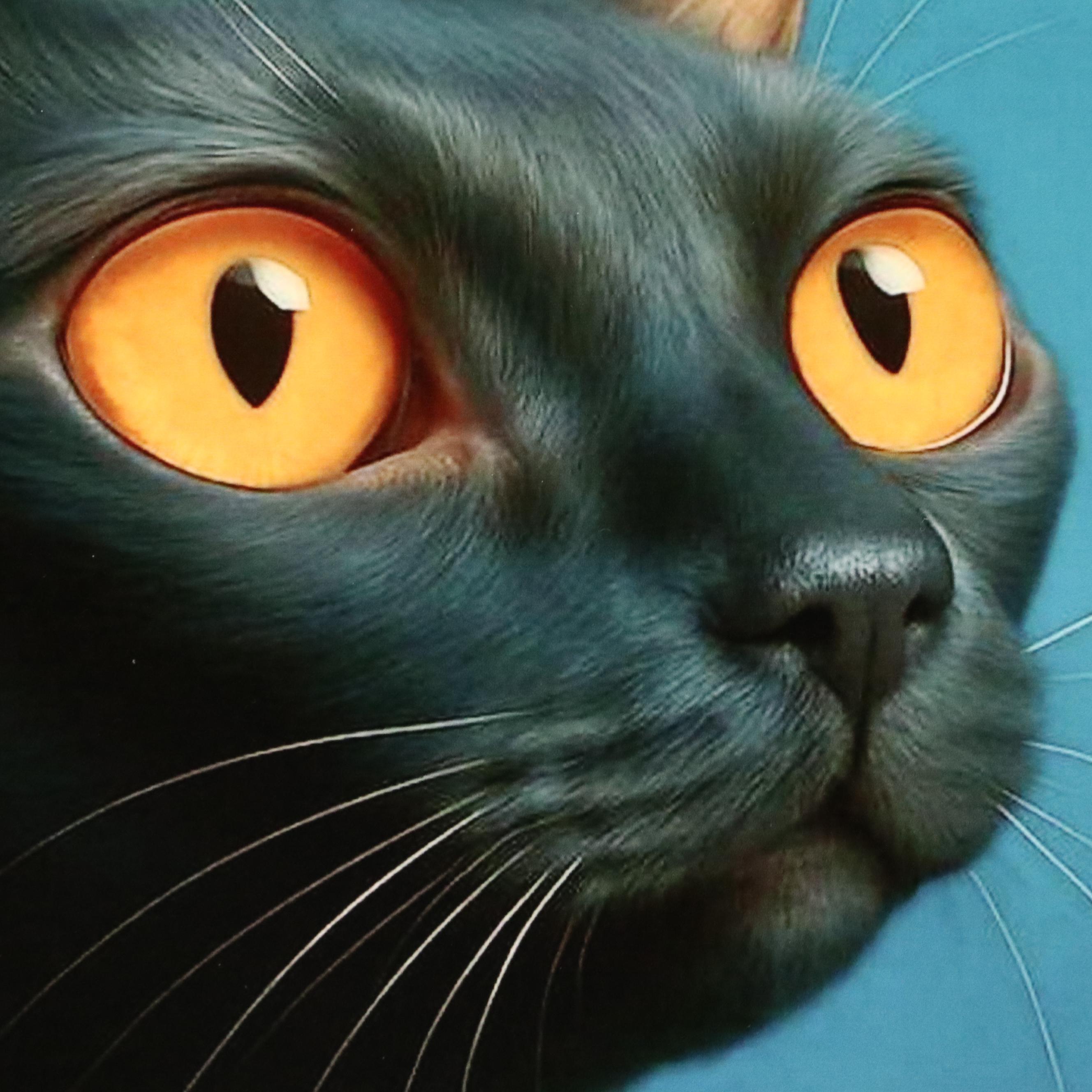 Slim Cat Productions Cat Portrait Giclée "Thorne," 2025