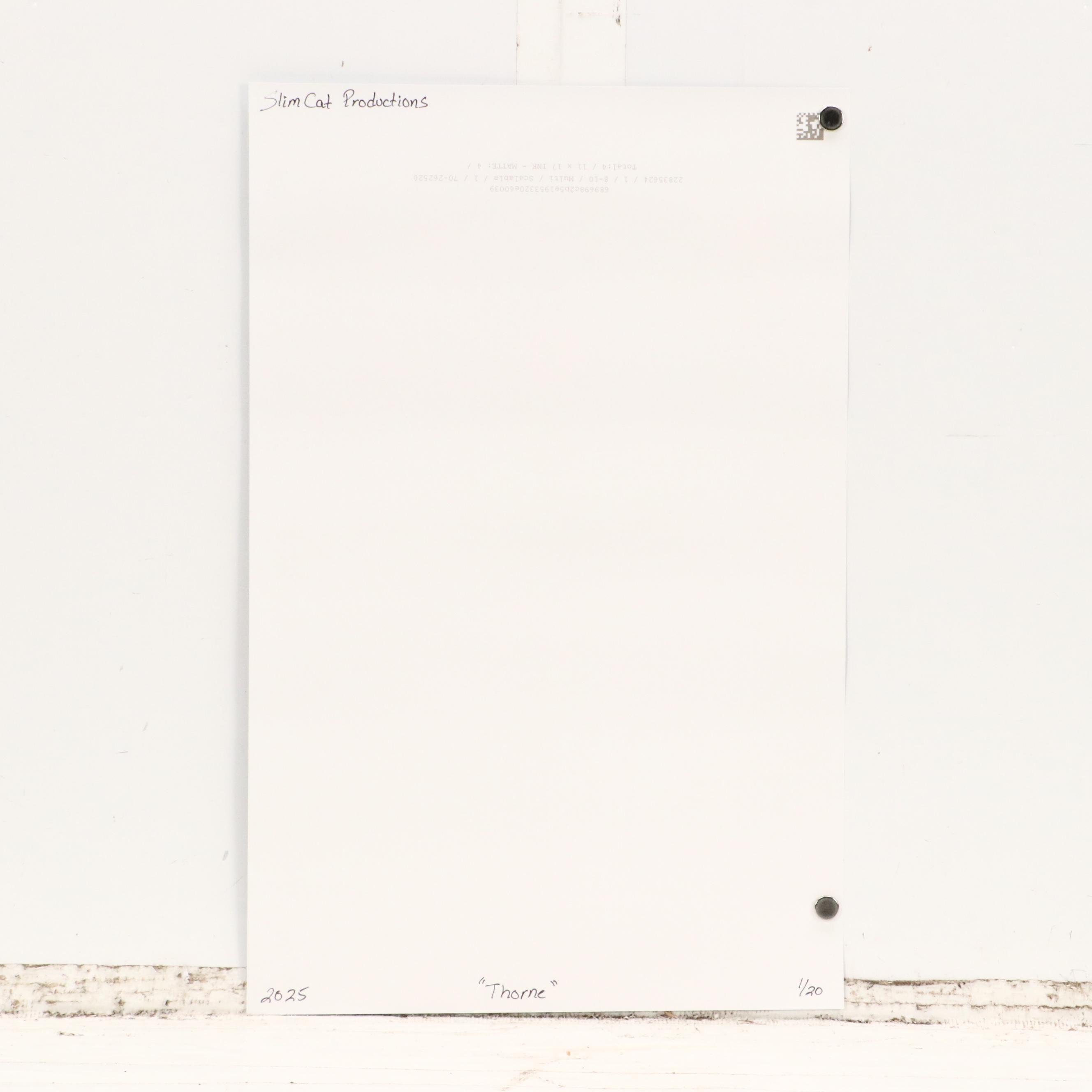 Slim Cat Productions Cat Portrait Giclée "Thorne," 2025