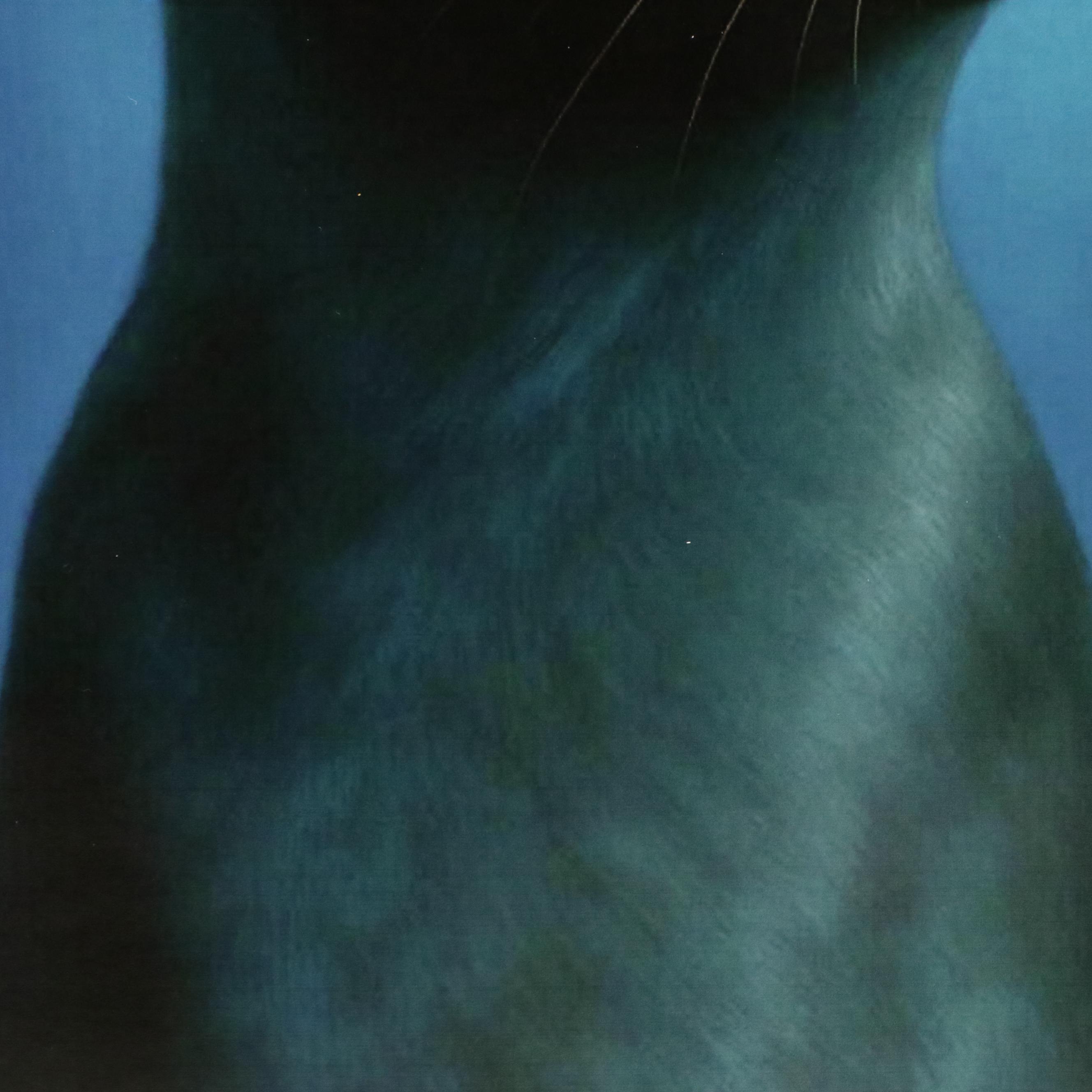 Slim Cat Productions Cat Portrait Giclée "Thorne," 2025