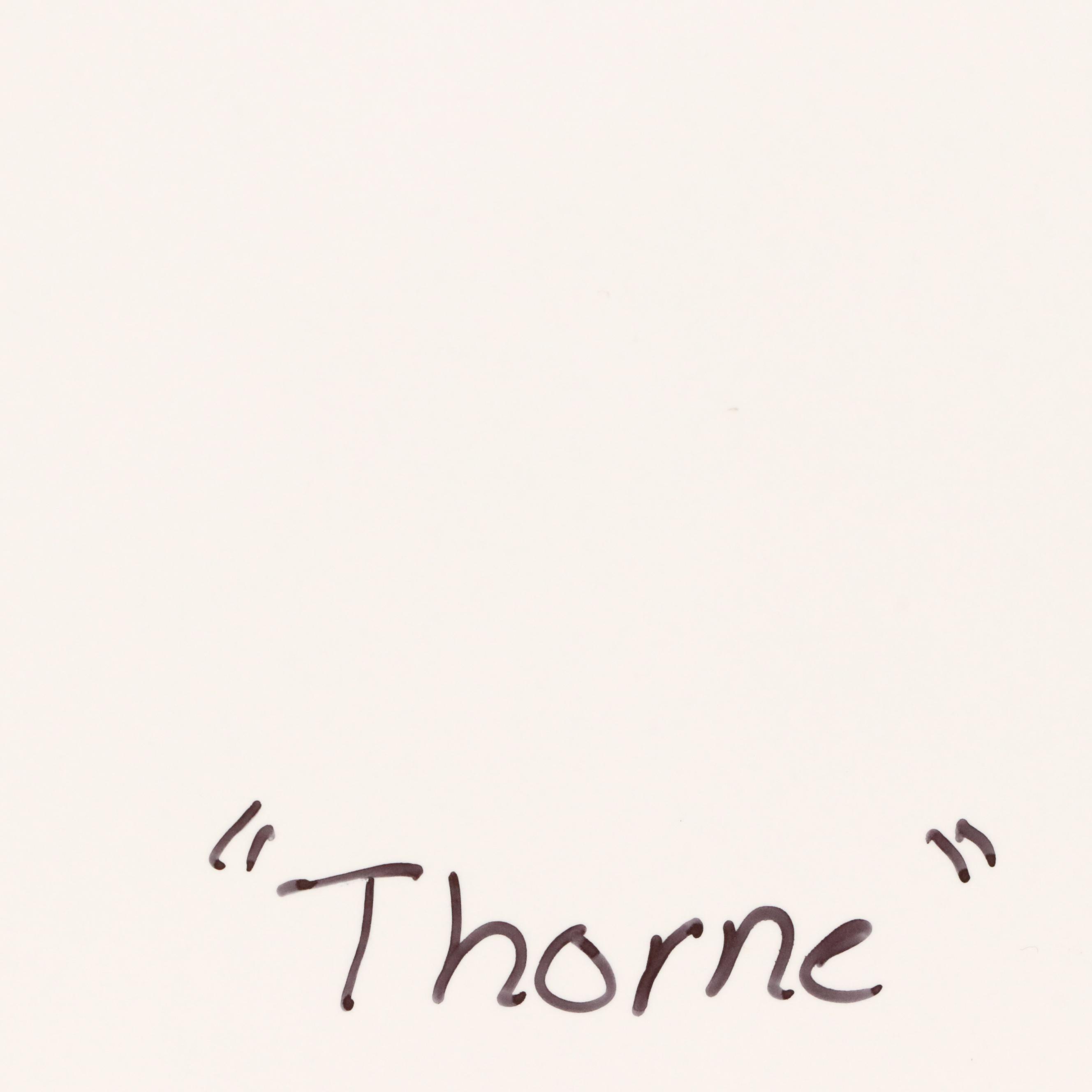 Slim Cat Productions Cat Portrait Giclée "Thorne," 2025