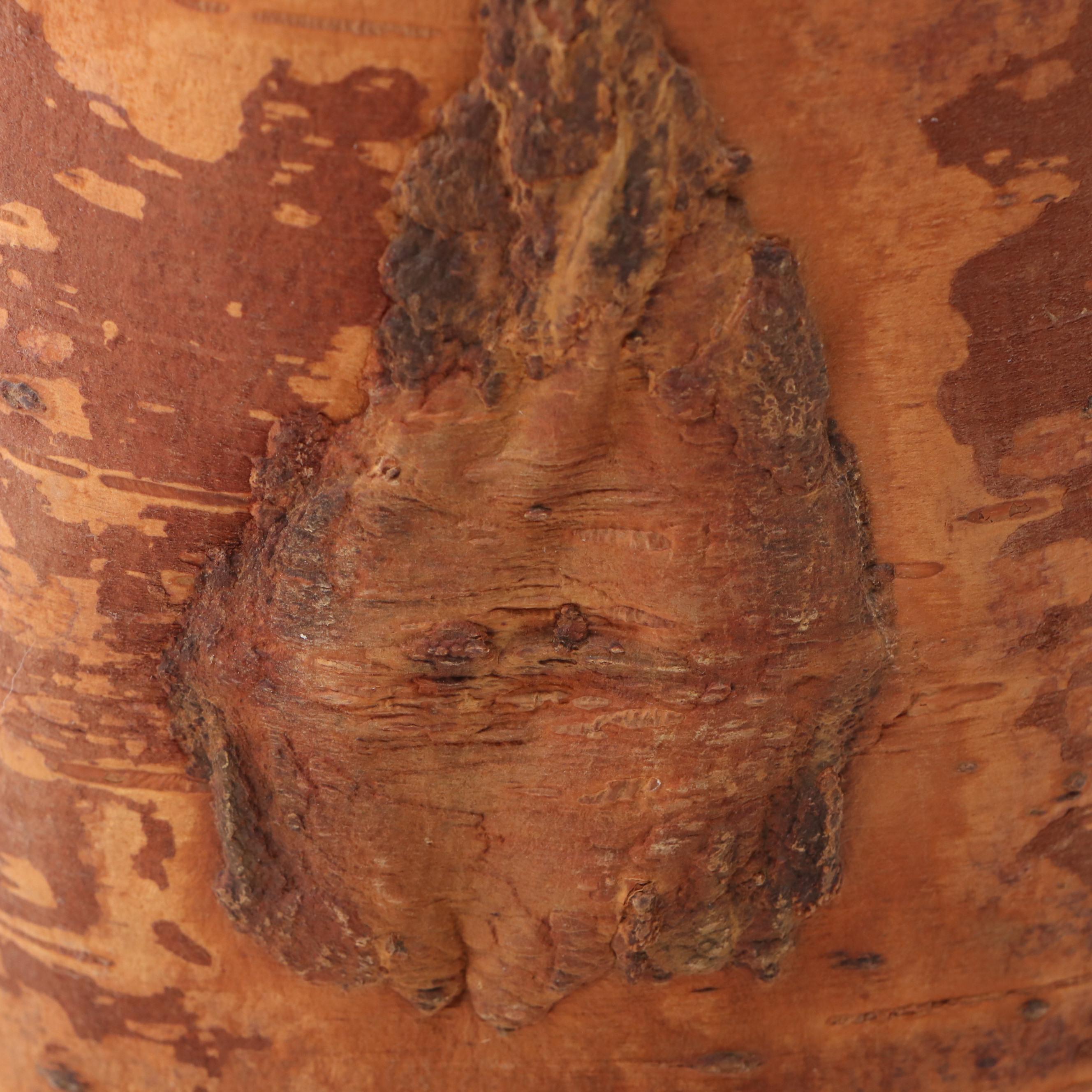 Primitive Style Birch Bark Vase