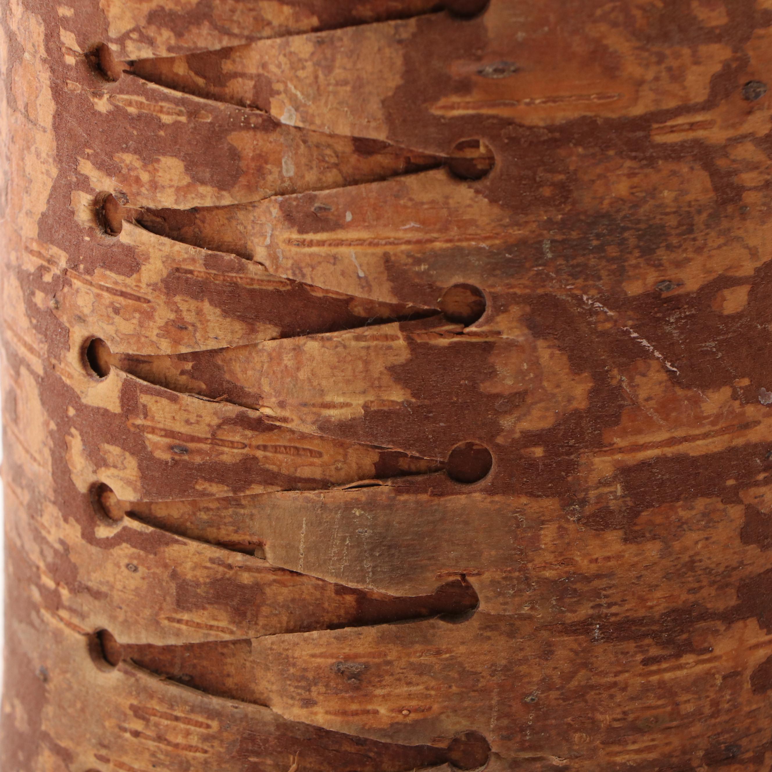 Primitive Style Birch Bark Vase