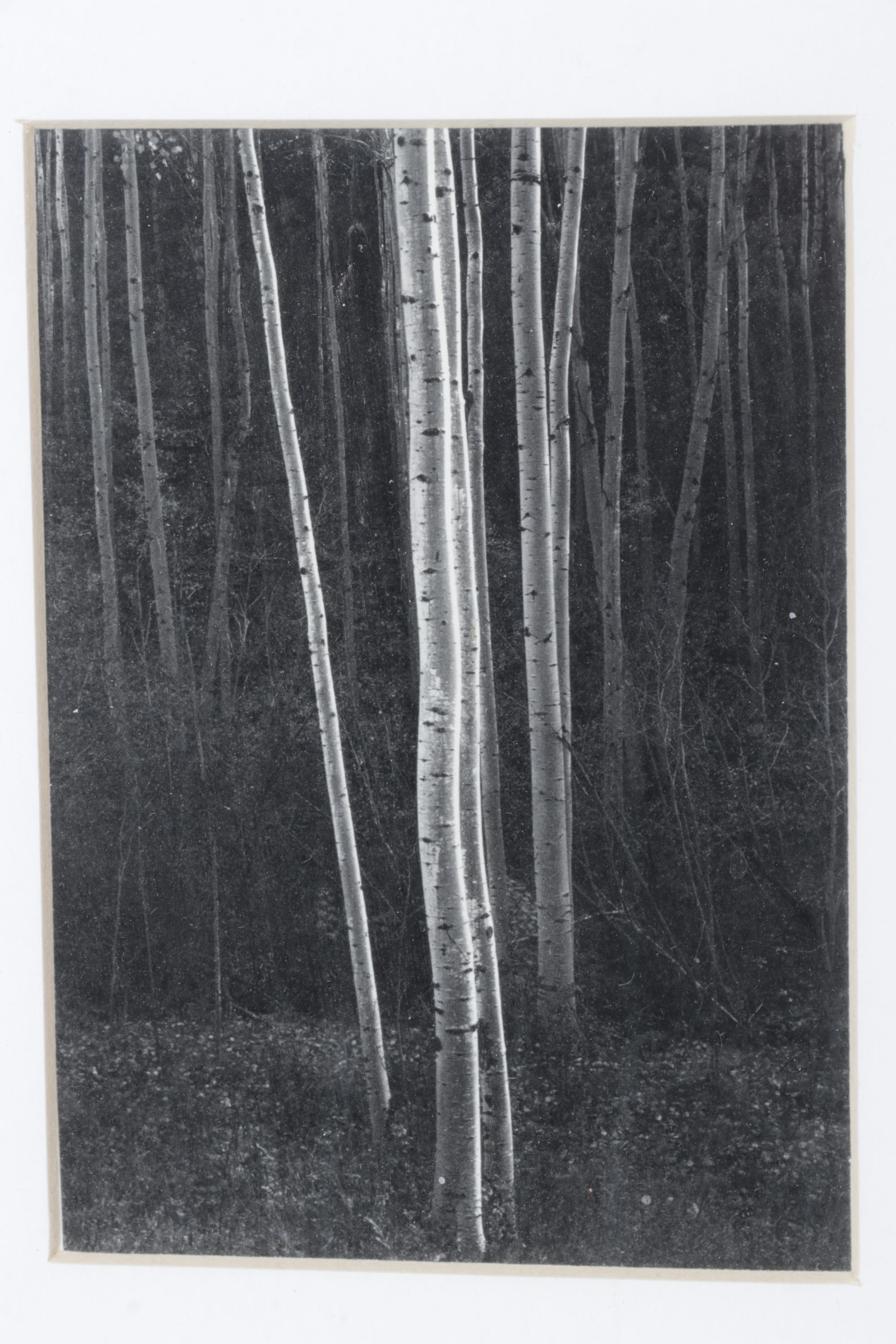 Collection of Ansel Adams Black and White Nature Photographs, Late 20th Century