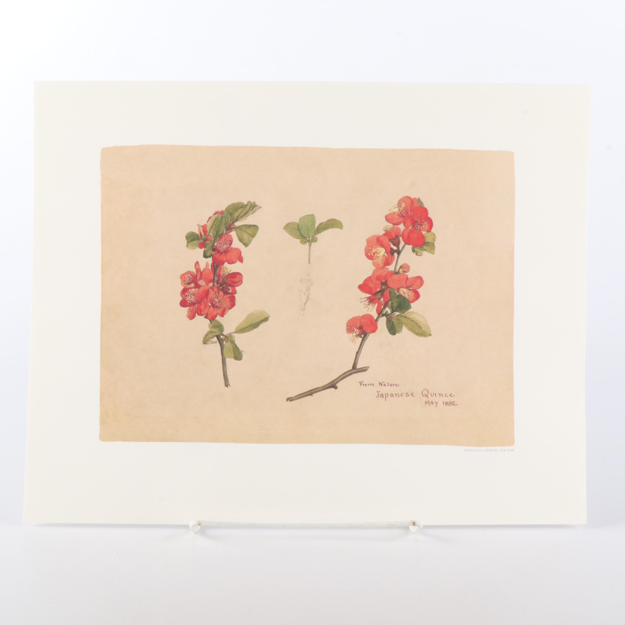 Tiffany & Co. "Tiffany Nature" Limited Edition Botanical Prints
