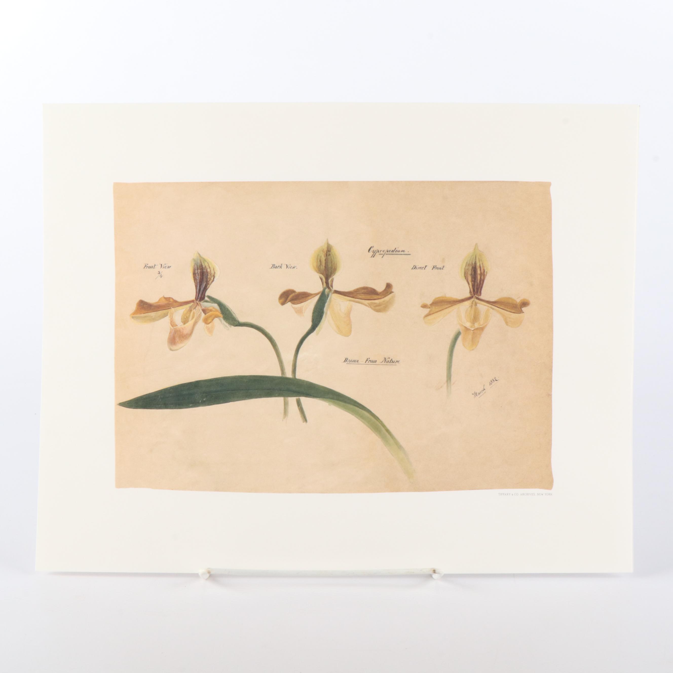 Tiffany & Co. "Tiffany Nature" Limited Edition Botanical Prints