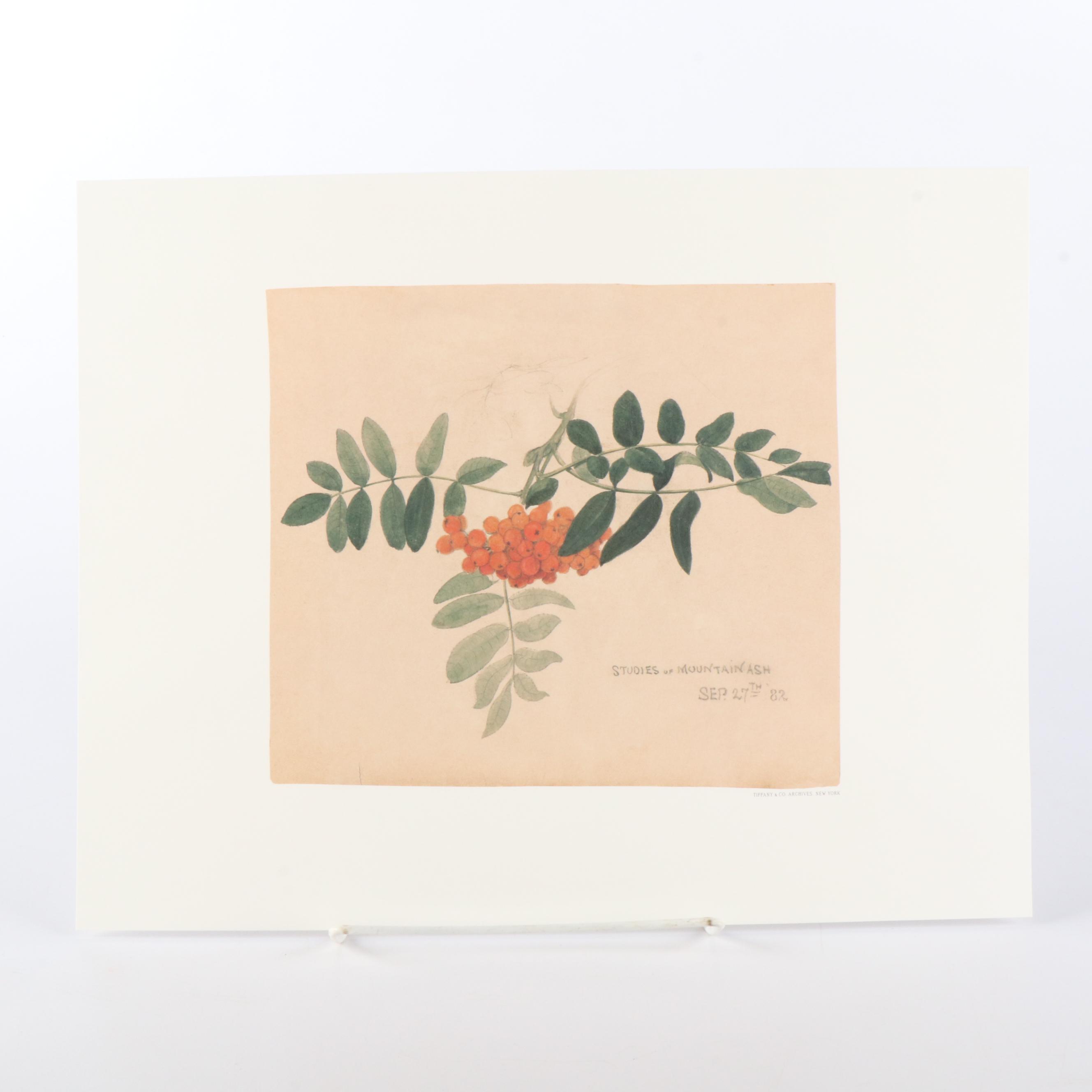 Tiffany & Co. "Tiffany Nature" Limited Edition Botanical Prints