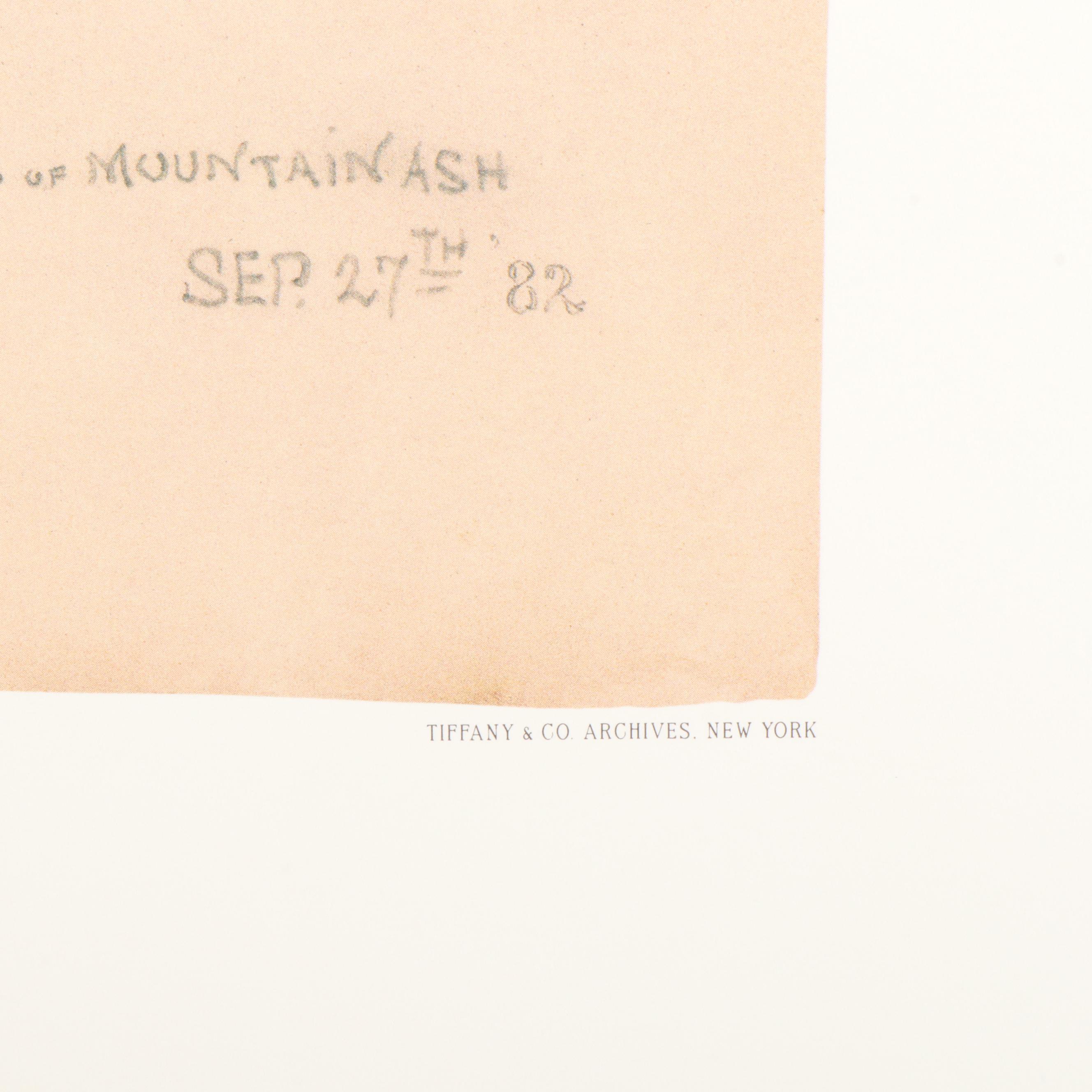 Tiffany & Co. "Tiffany Nature" Limited Edition Botanical Prints