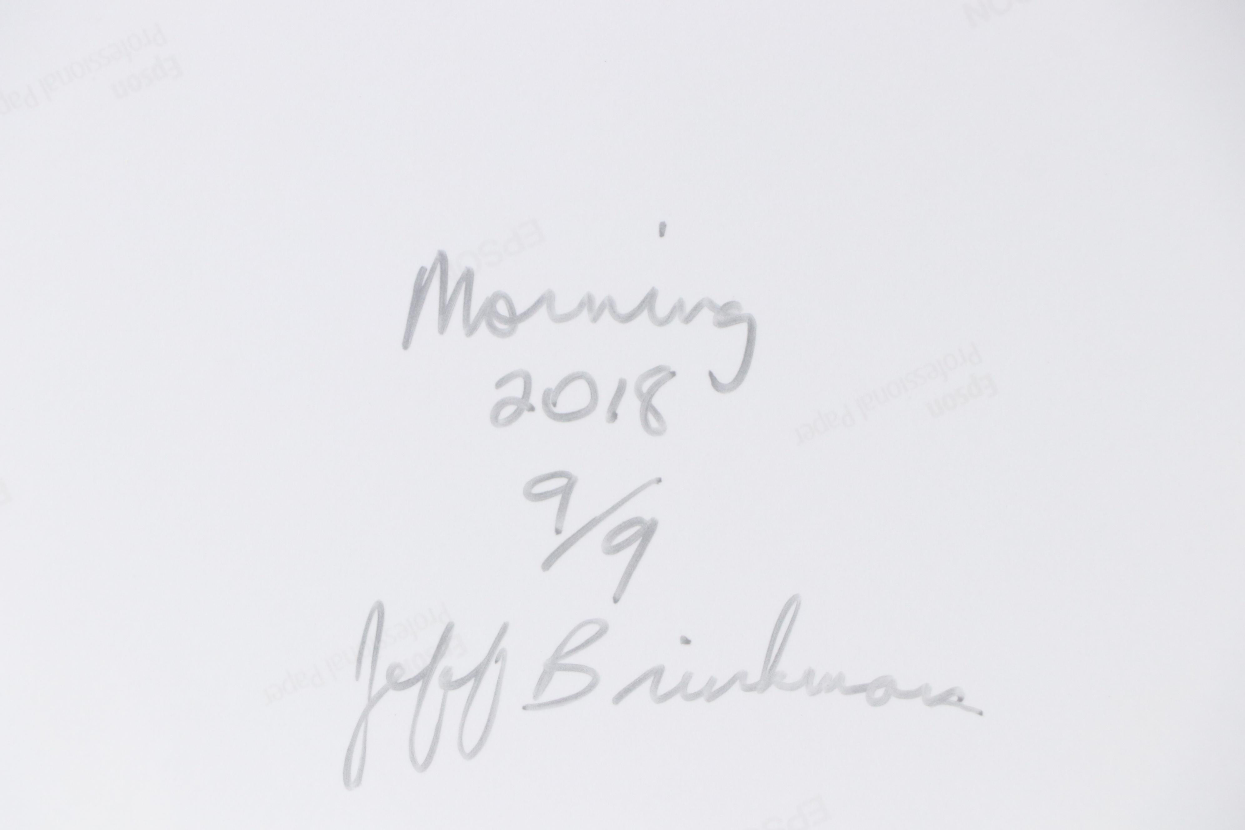 Jeff Brinkman Digital Photograph "Morning," 2018