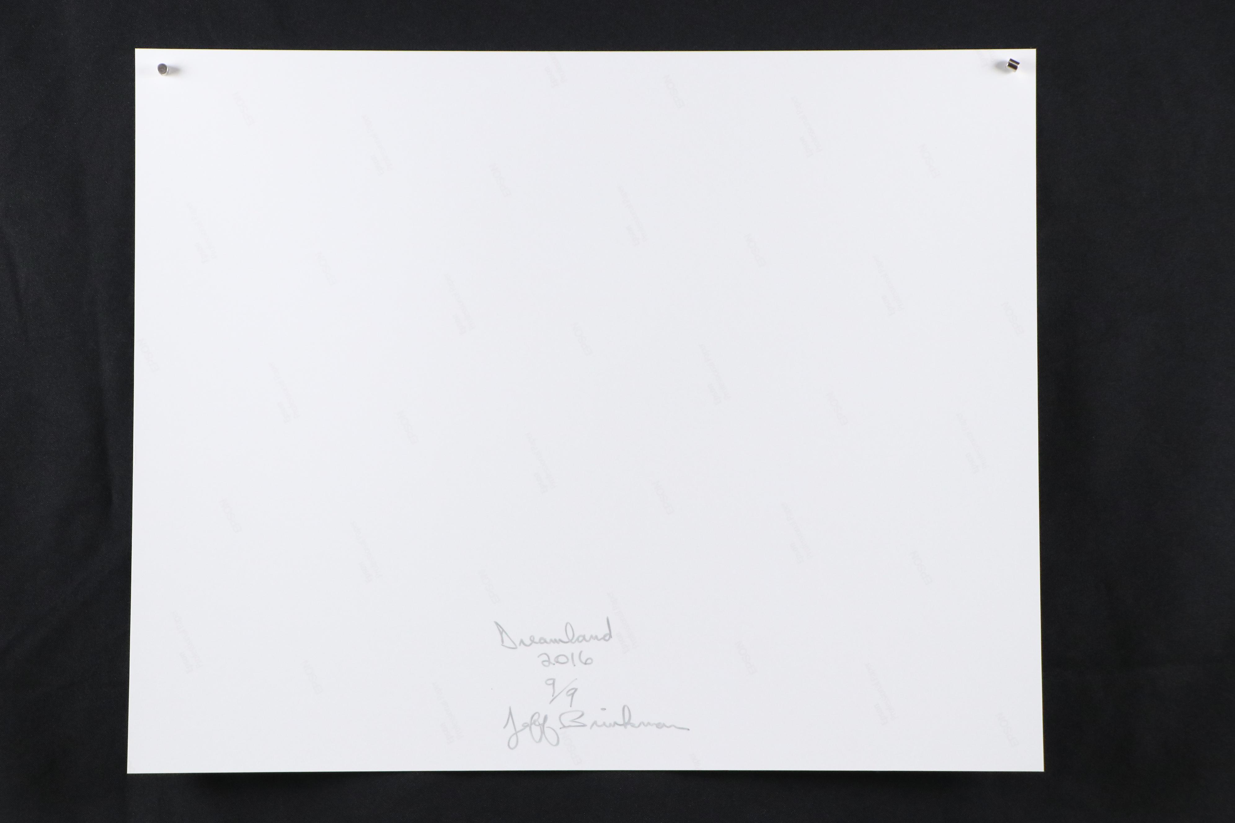 Jeff Brinkman Digital Photograph "Dreamland," 2016