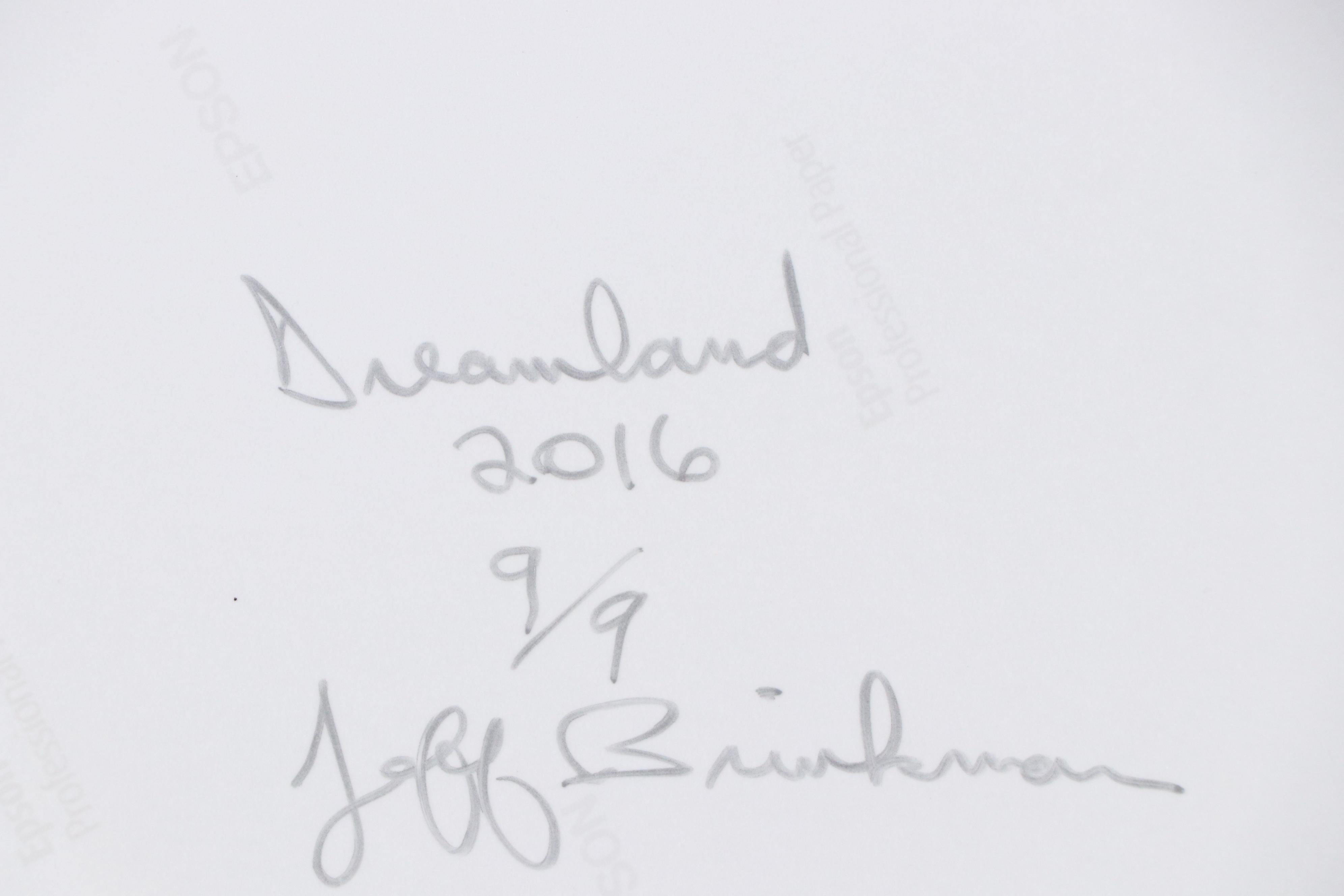 Jeff Brinkman Digital Photograph "Dreamland," 2016