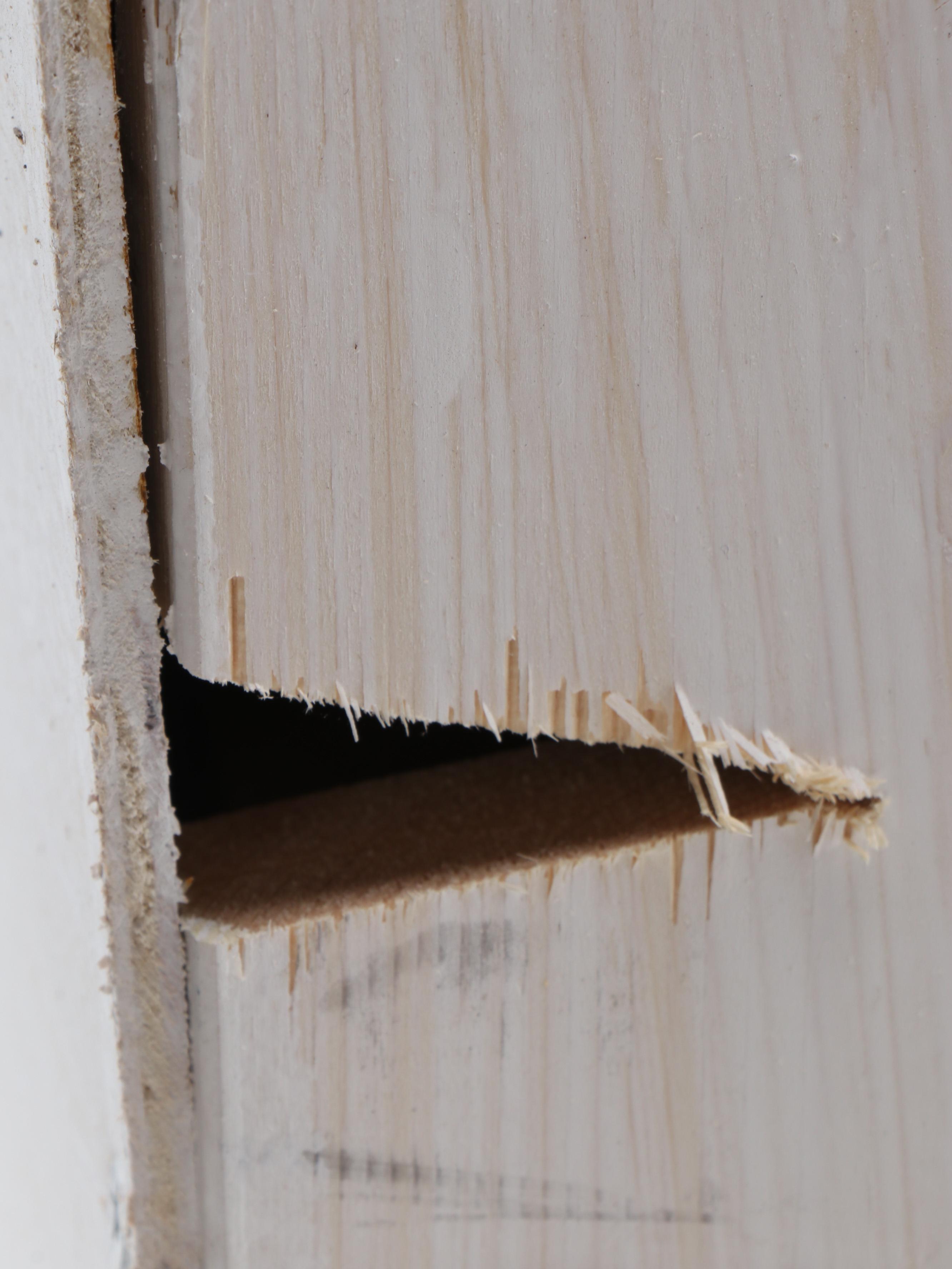 Hand-Painted Wood Thunderbird Motel Sign