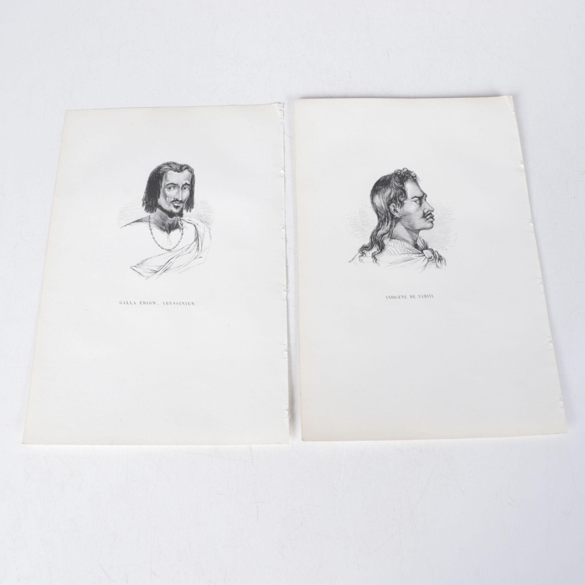 Collection of French Wood Engraving Portraits From "The Natural History of Man"