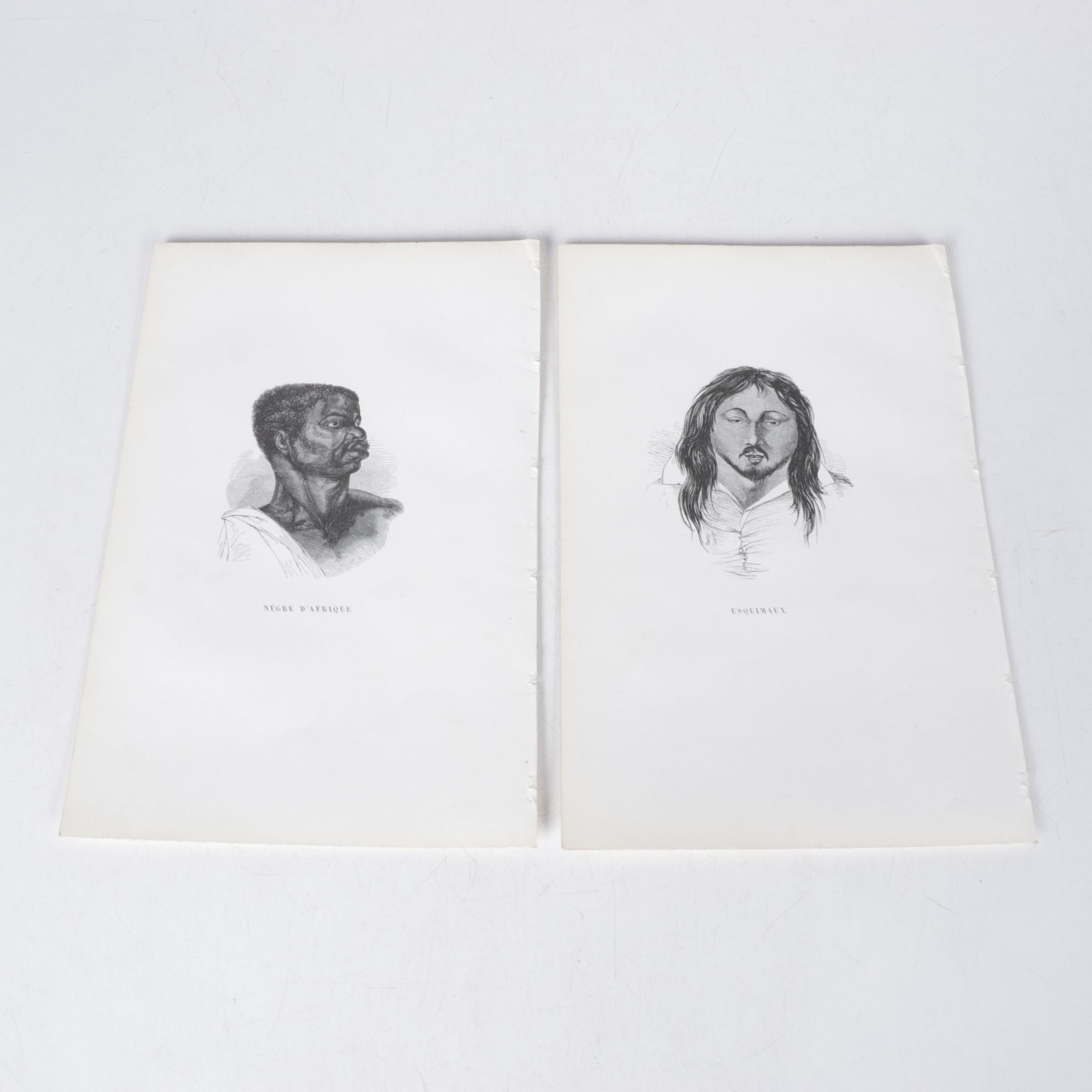 Collection of French Wood Engraving Portraits From "The Natural History of Man"