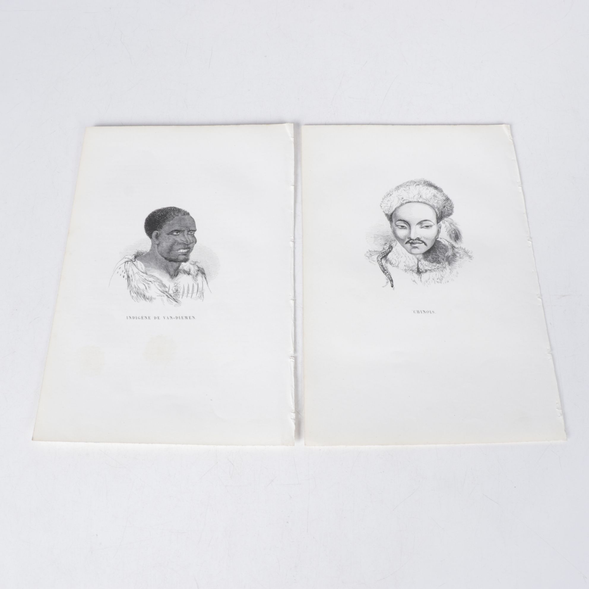 Collection of French Wood Engraving Portraits From "The Natural History of Man"