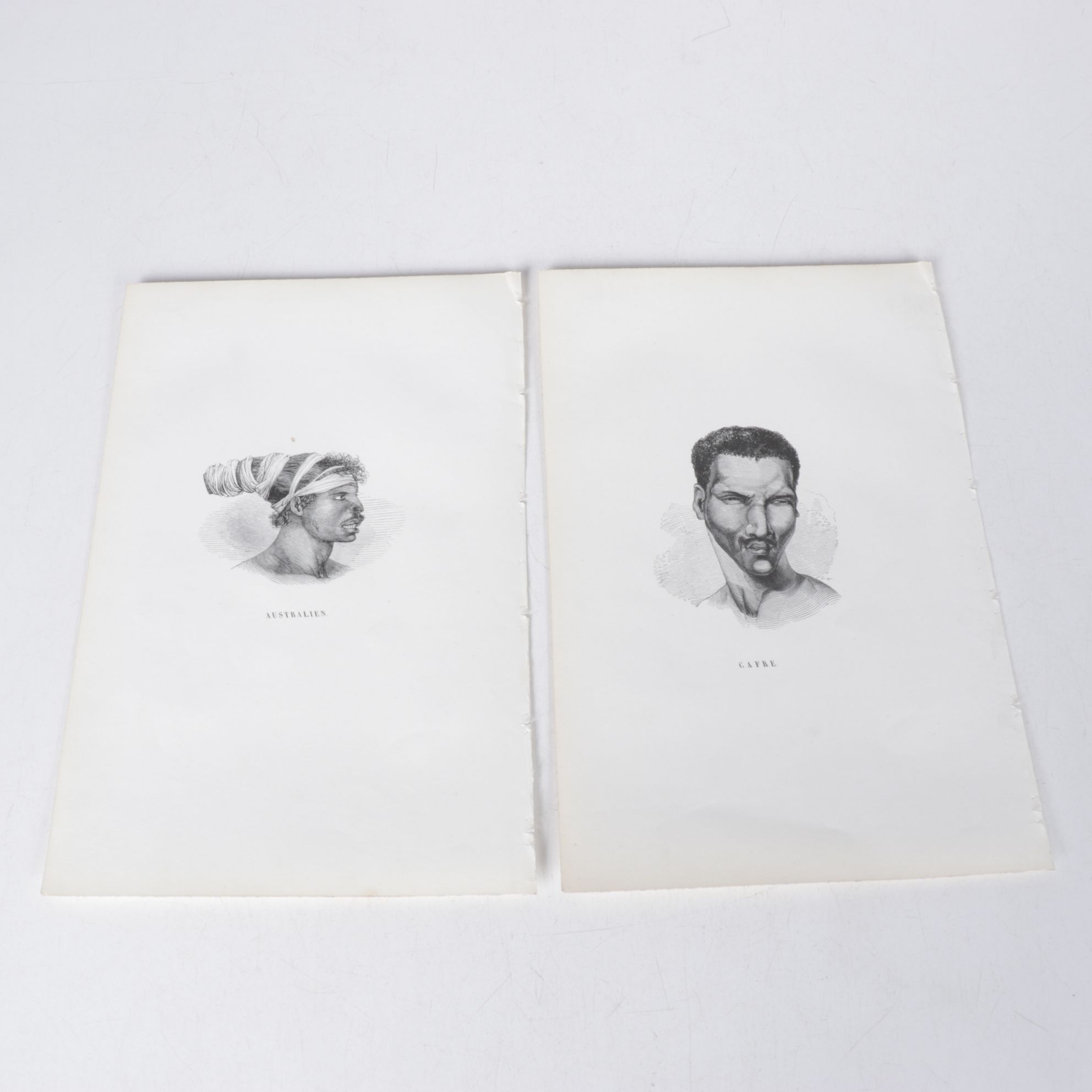 Collection of French Wood Engraving Portraits From "The Natural History of Man"