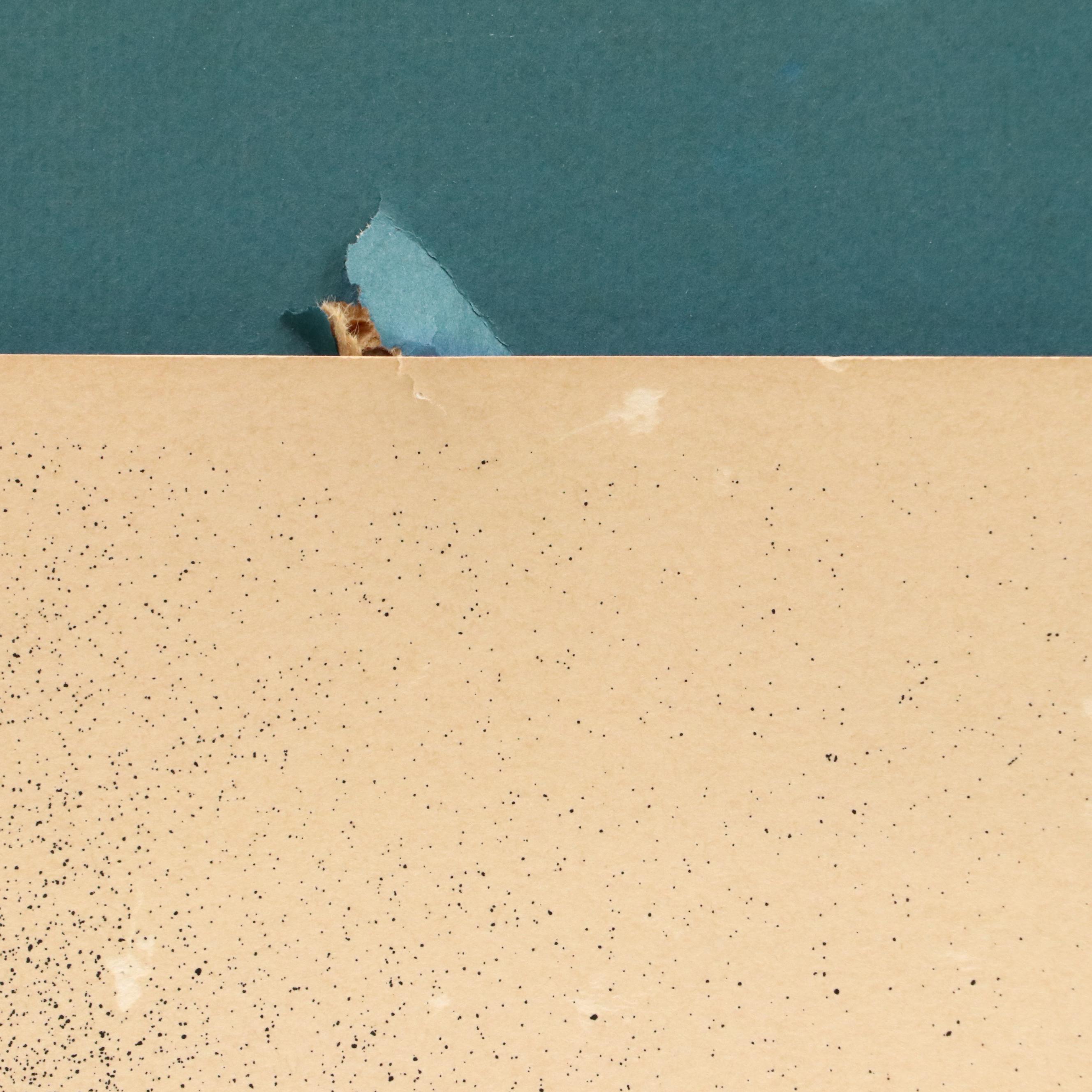 Alicia L. Johnson Lithograph "Golden Sun"