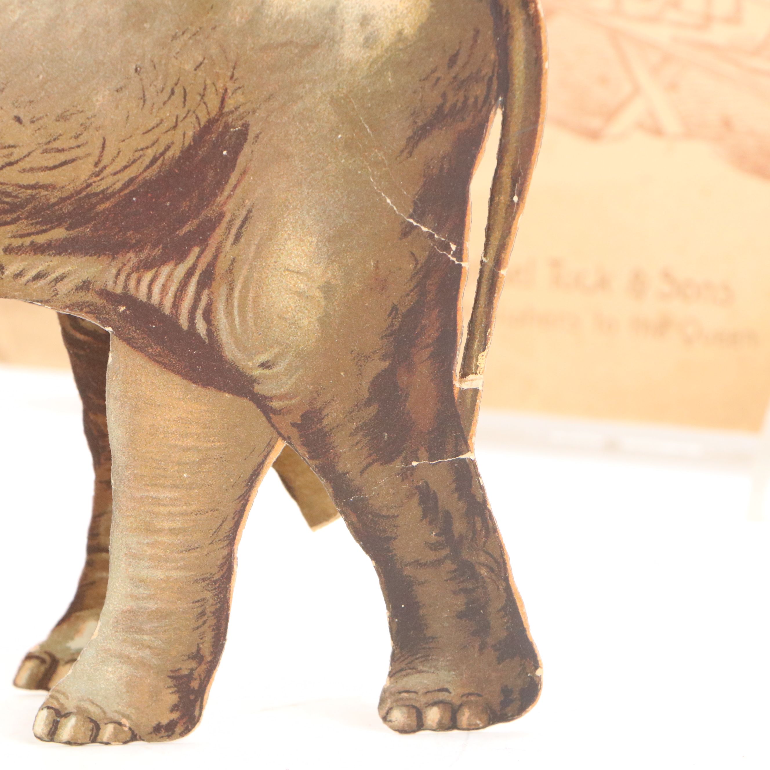 Raphael Tuck & Sons "Noah's Ark Animals" Paper Doll Toy, Early 20th Century