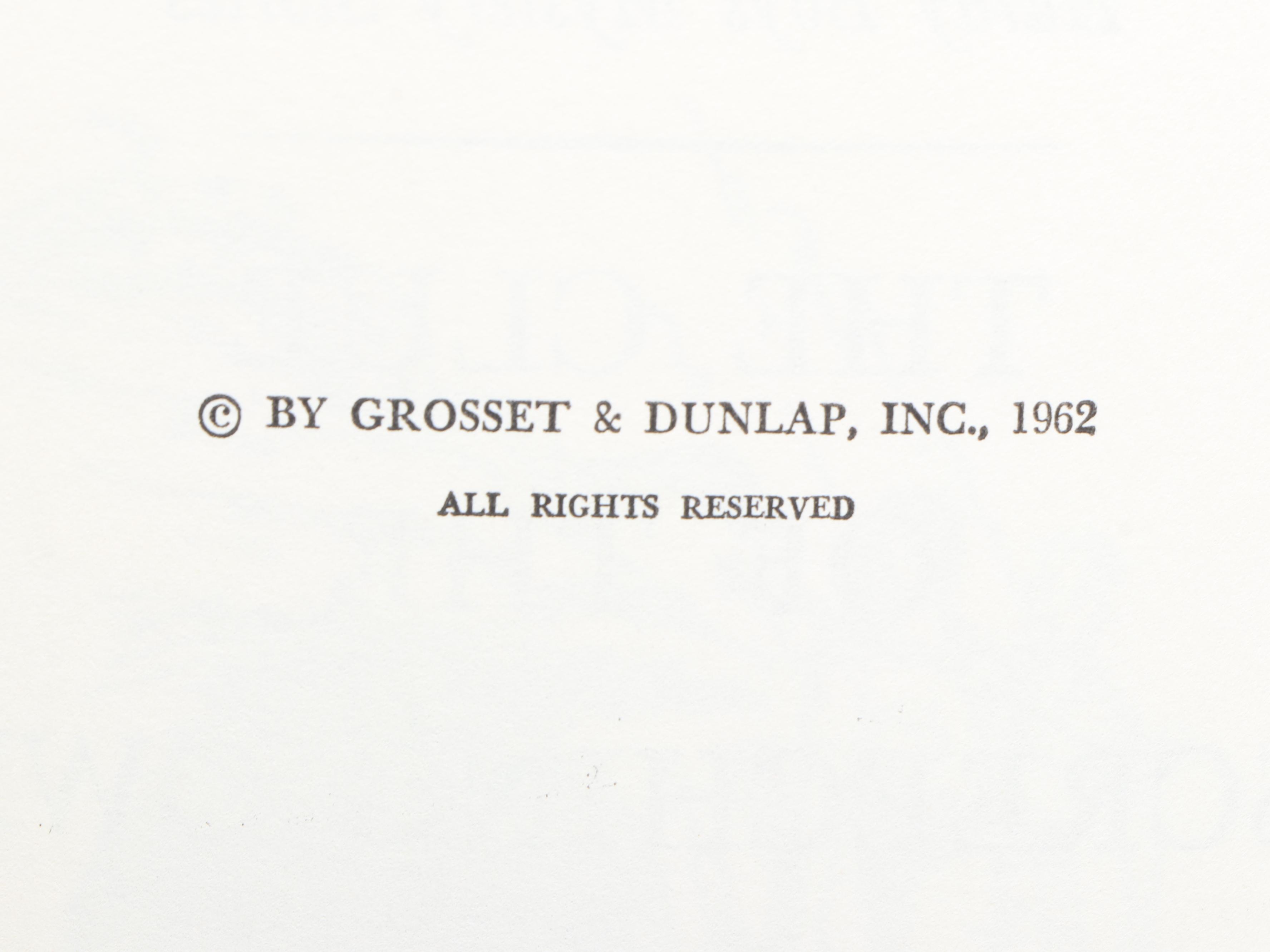 "The Hardy Boys" Stories and Series by Franklin W. Dixon, 20th Century