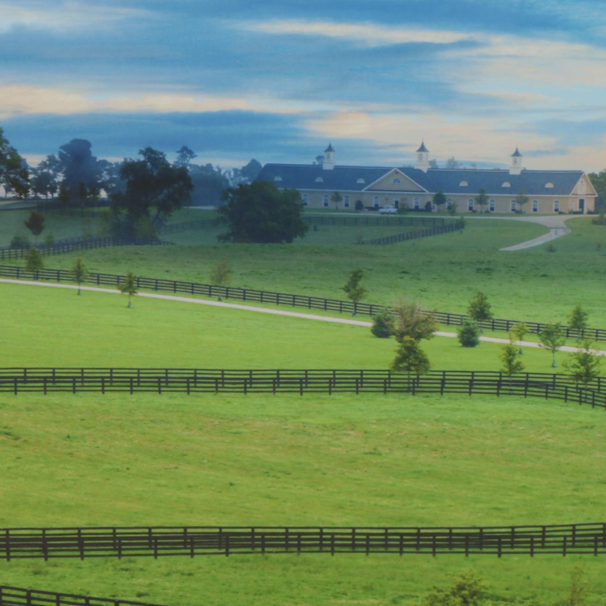 Giclée Landscape Photograph Poster of Kentucky Horse Farm, Early 21st Century