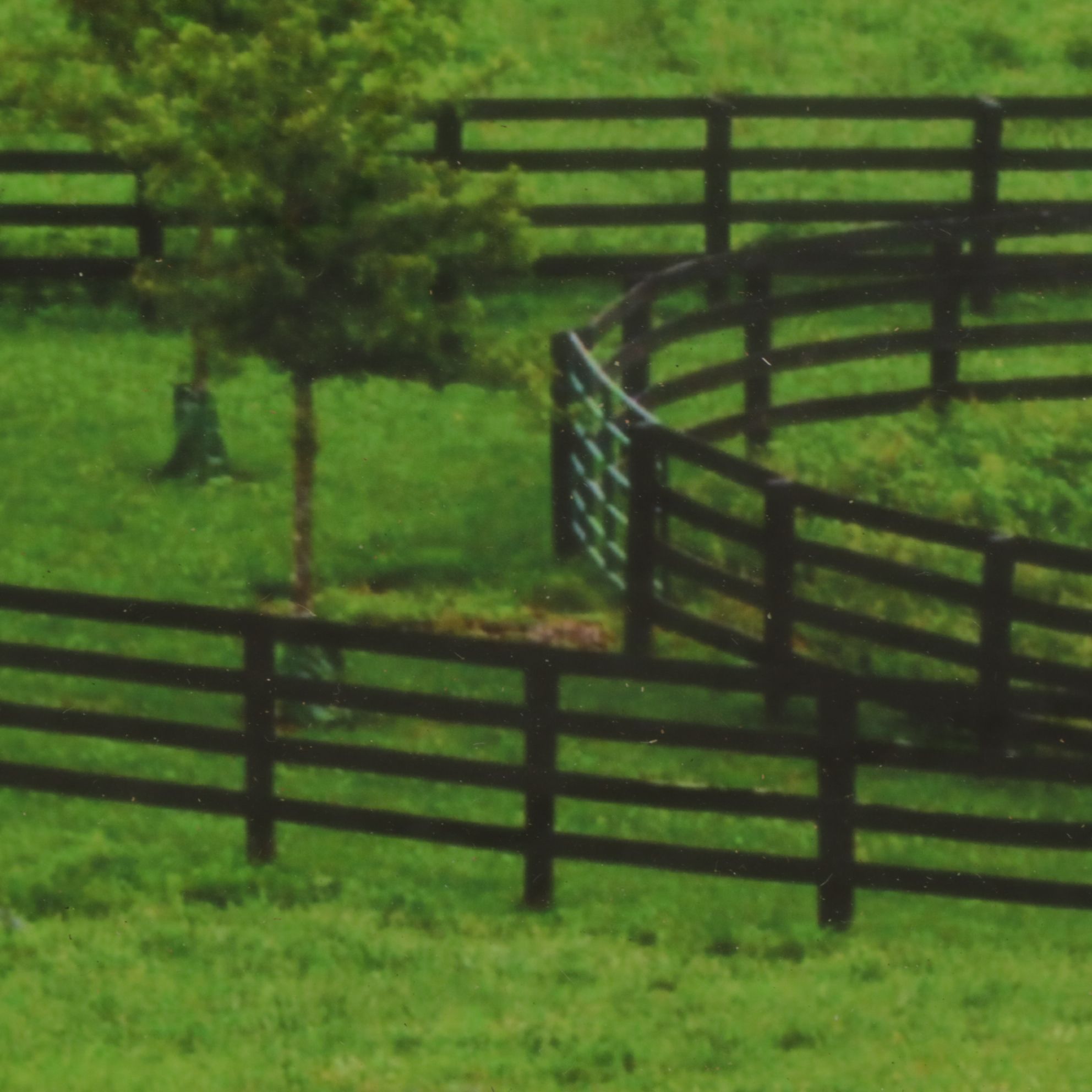 Giclée Landscape Photograph Poster of Kentucky Horse Farm, Early 21st Century
