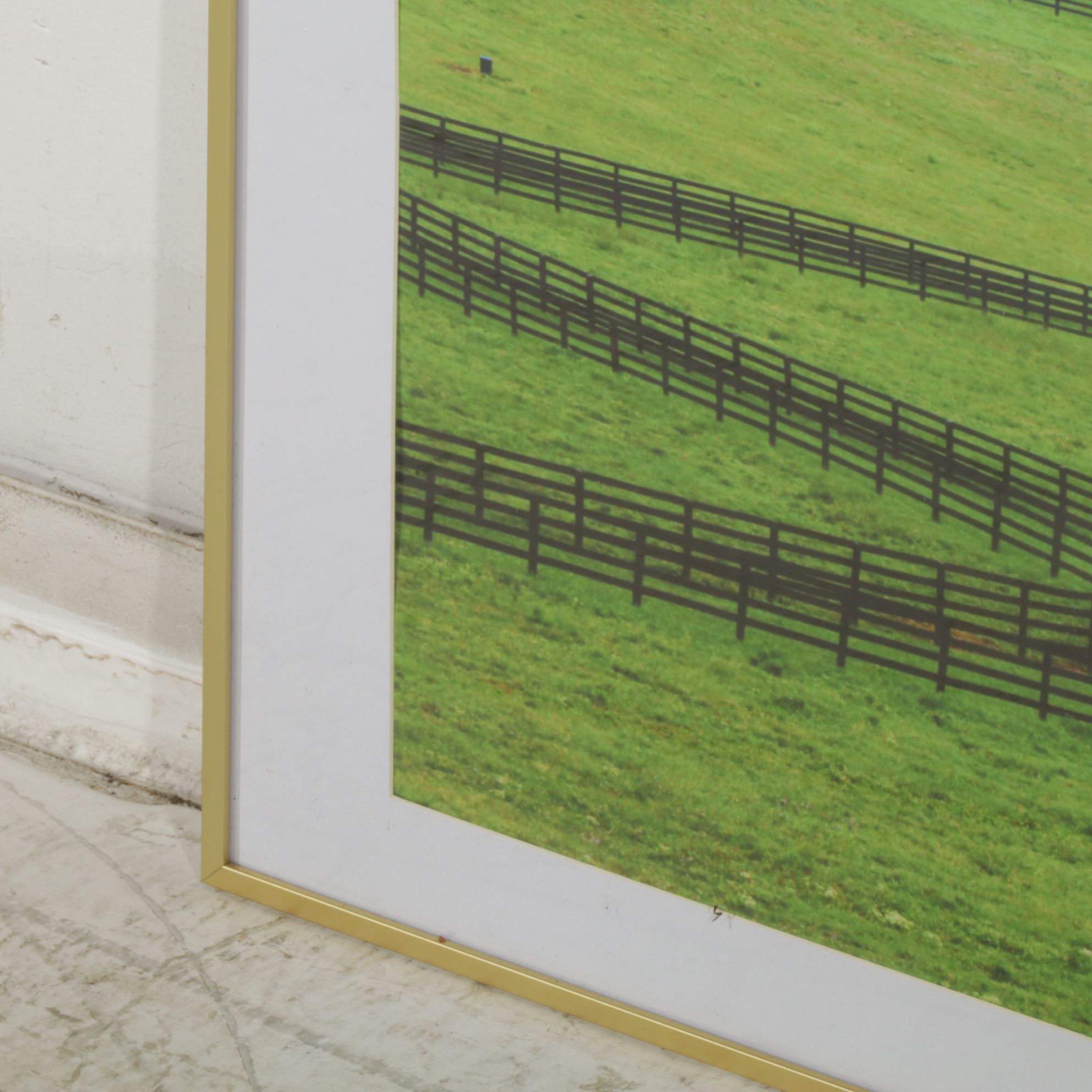 Giclée Landscape Photograph Poster of Kentucky Horse Farm, Early 21st Century