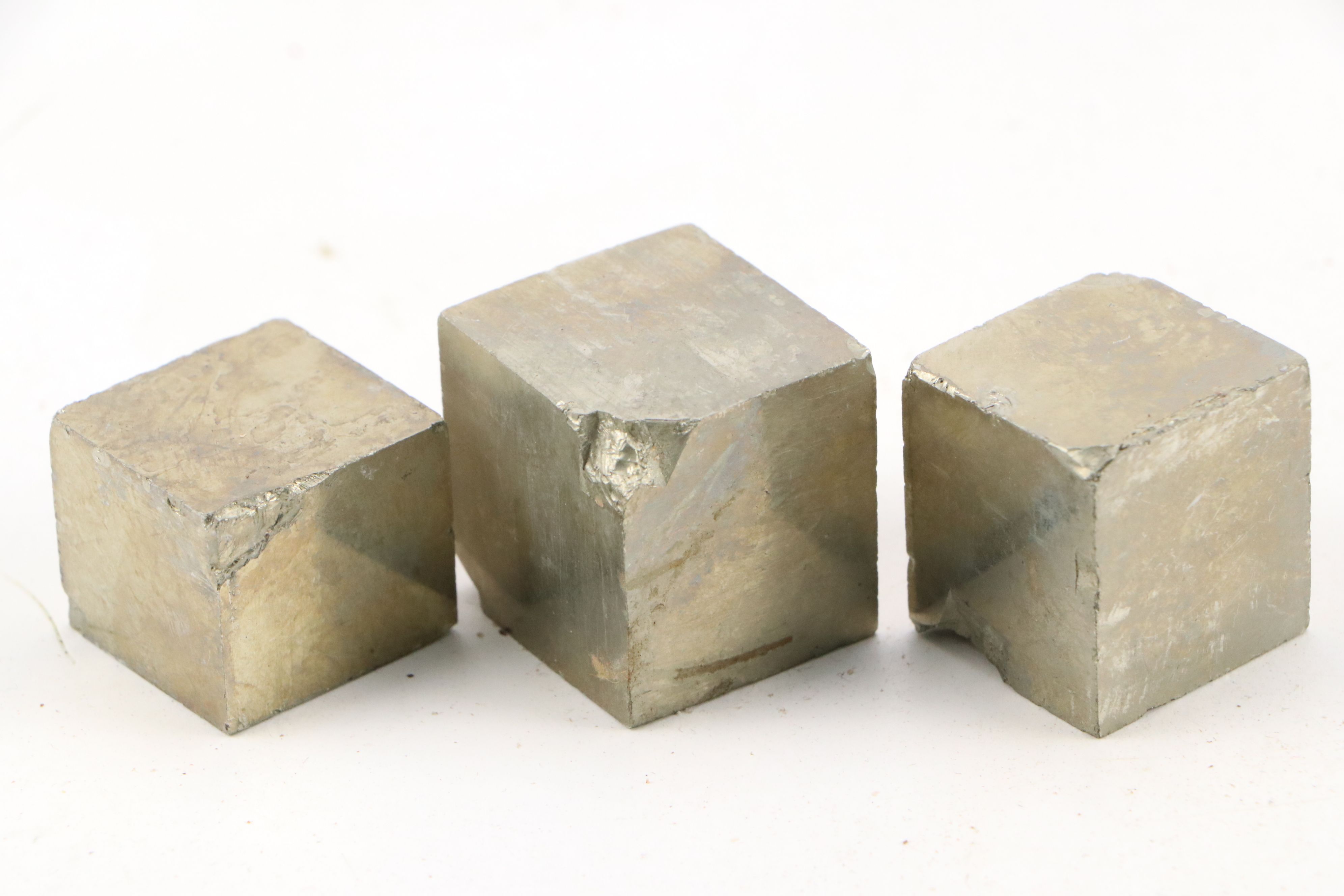 Trilobites, Crinoid Stems, and Other Fossils and Minerals