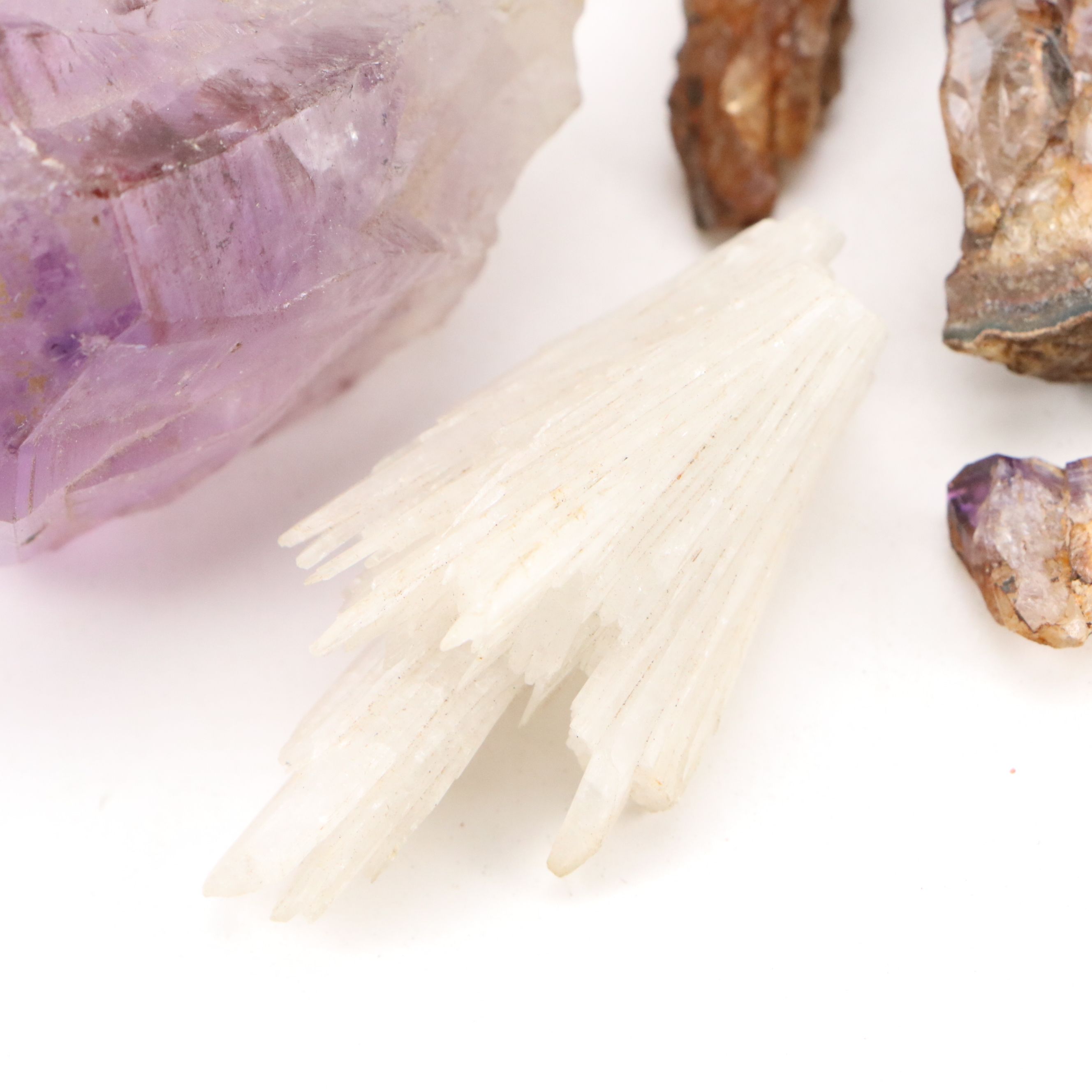 Trilobites, Crinoid Stems, and Other Fossils and Minerals