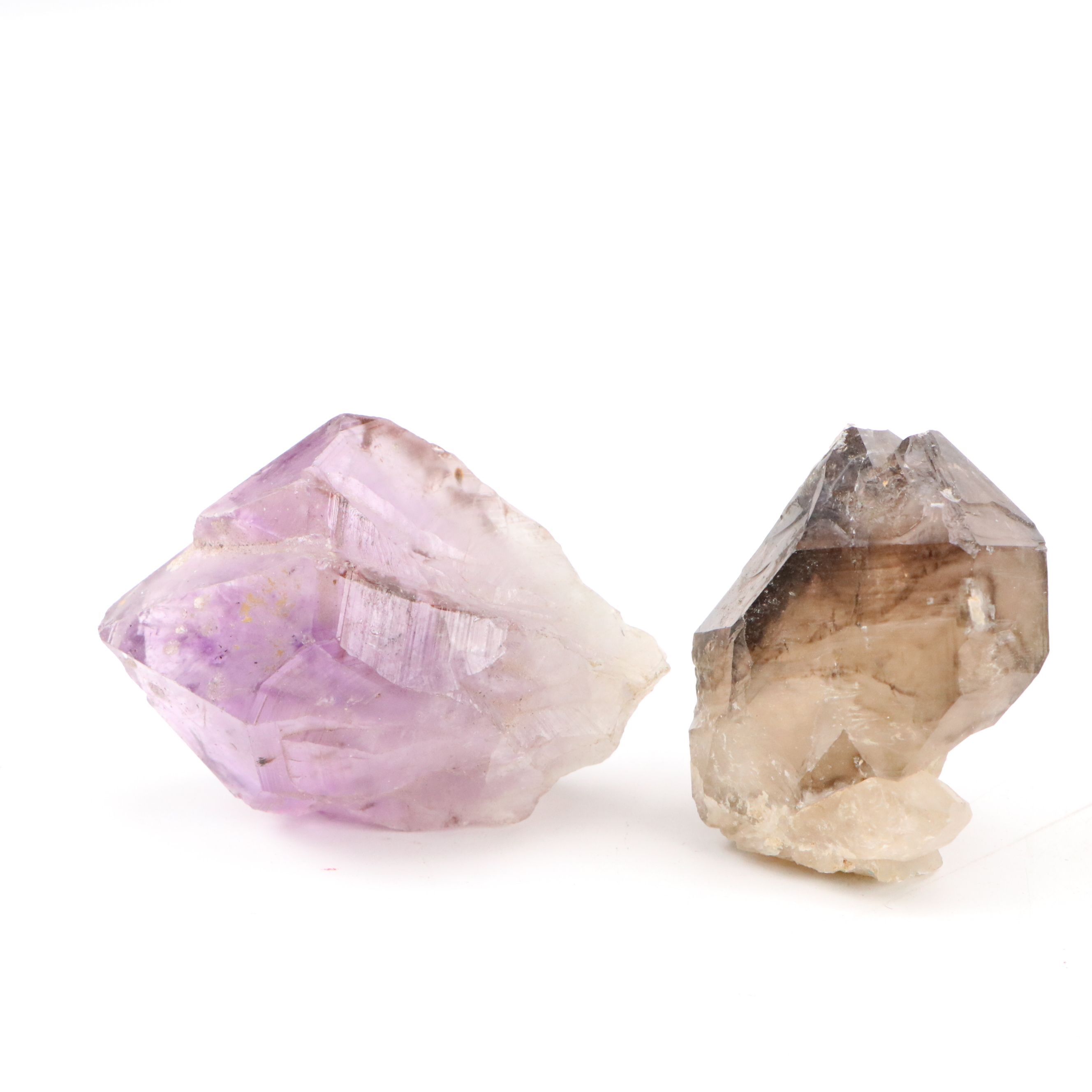 Trilobites, Crinoid Stems, and Other Fossils and Minerals