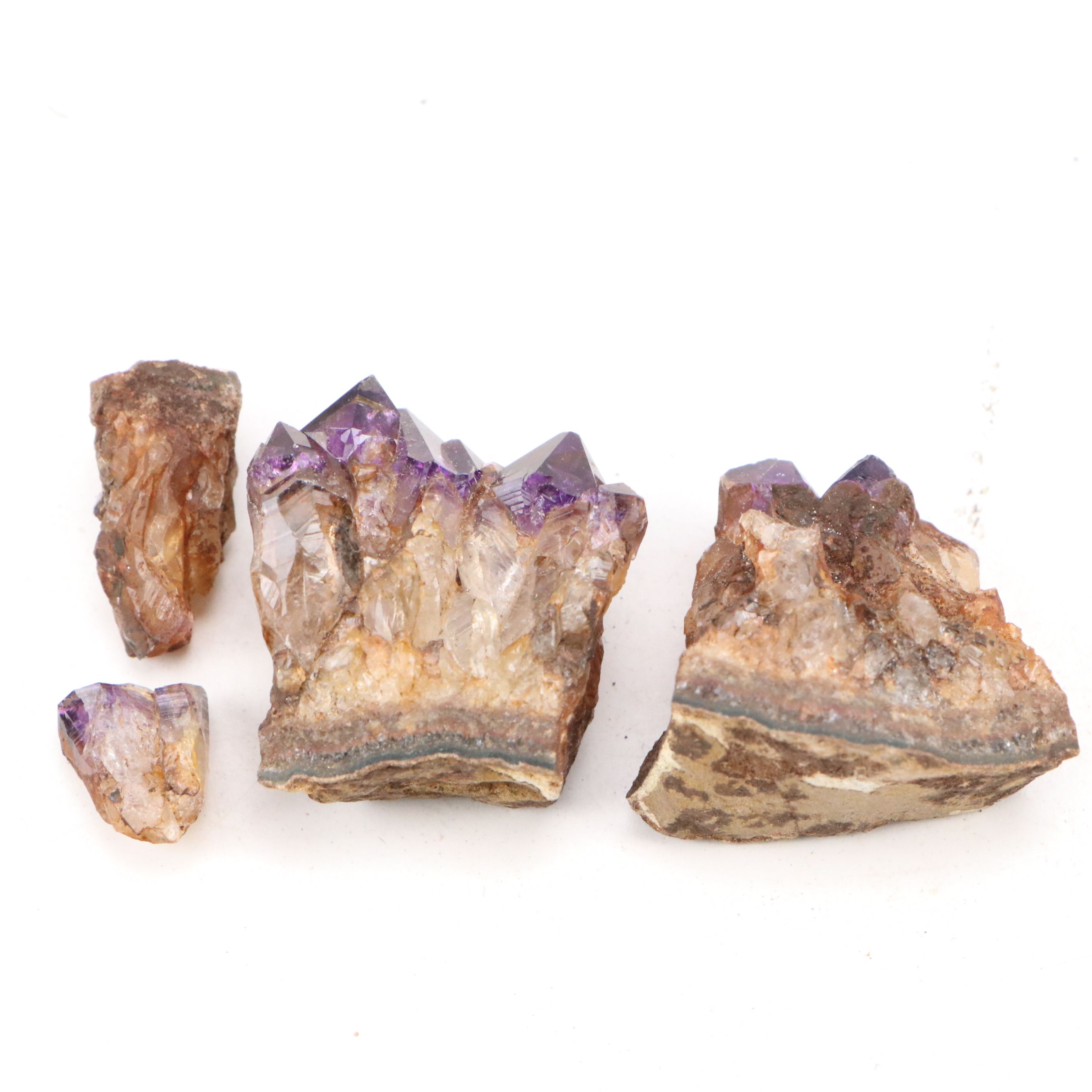 Trilobites, Crinoid Stems, and Other Fossils and Minerals