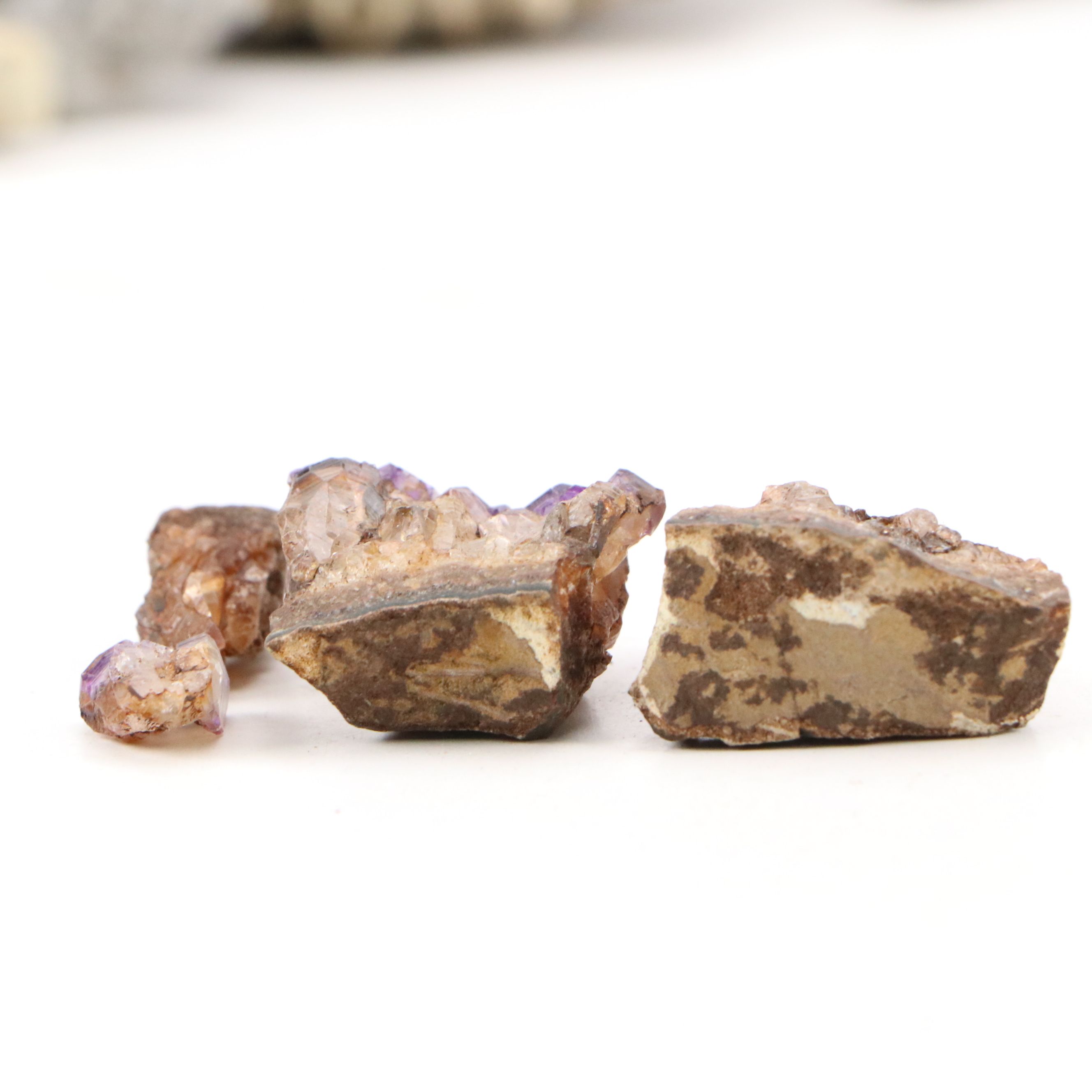 Trilobites, Crinoid Stems, and Other Fossils and Minerals