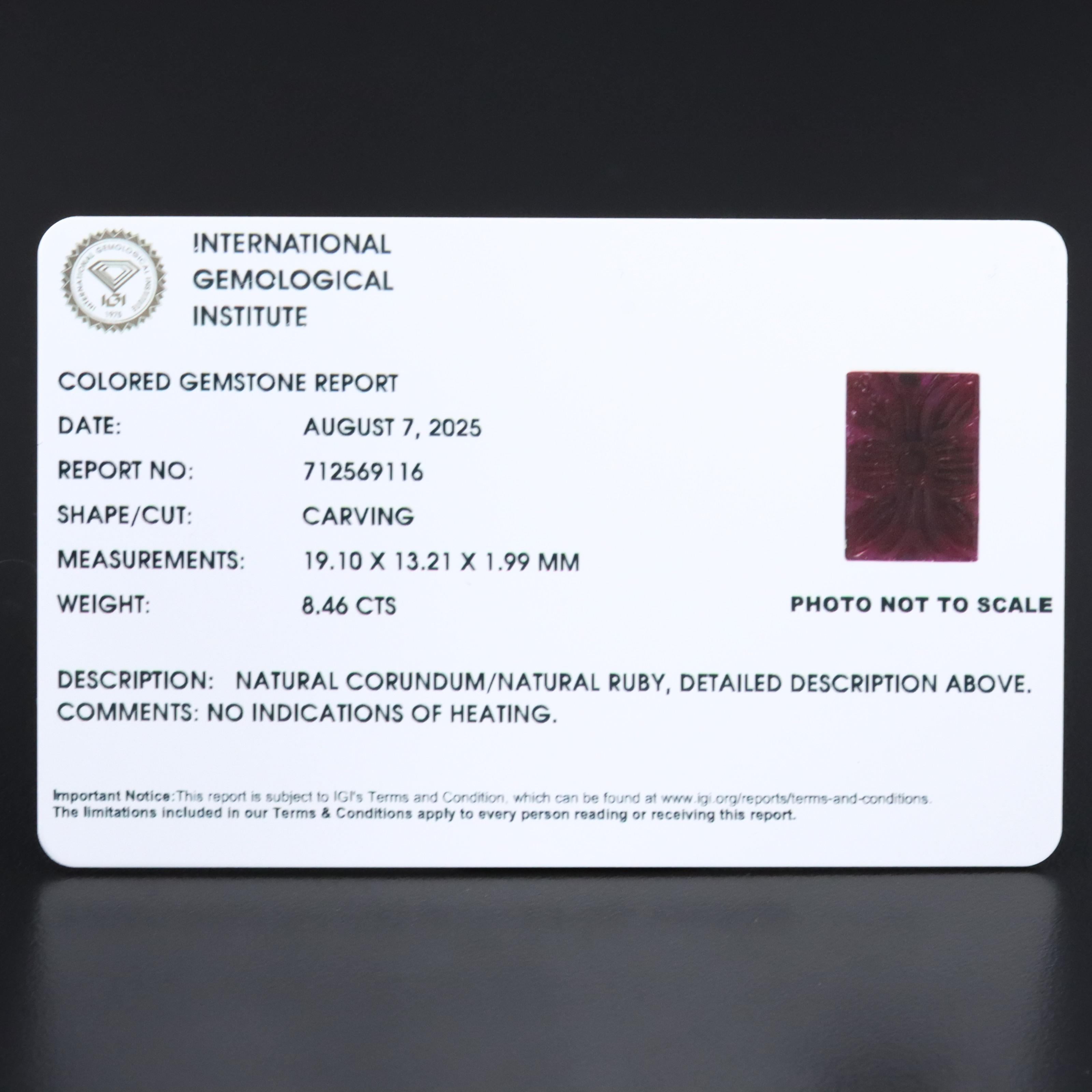 Loose 8.46 CT Carved Ruby with IGI Colored Gemstone Report