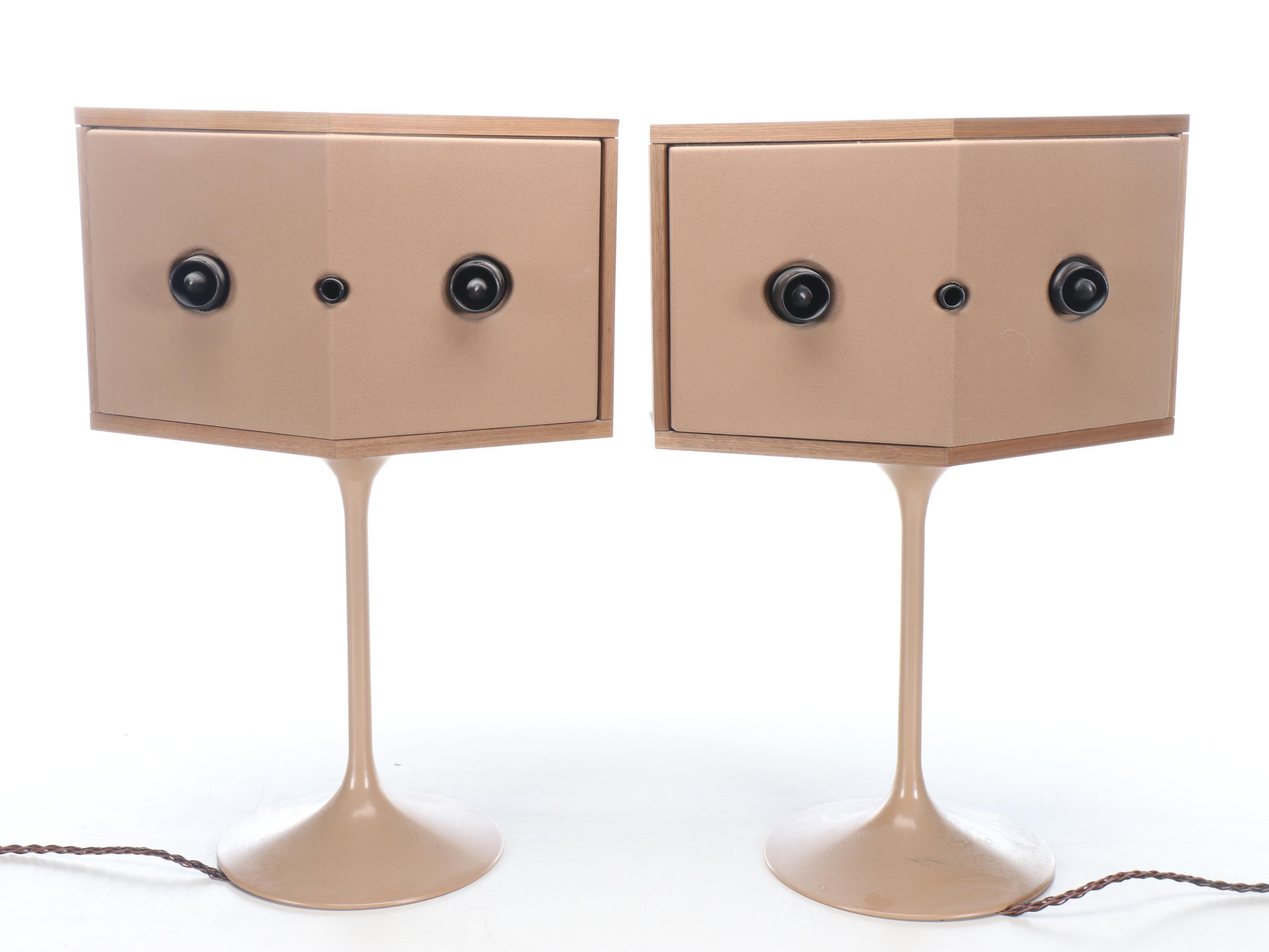 Bose 901° Series Standing Speakers and Equalizer