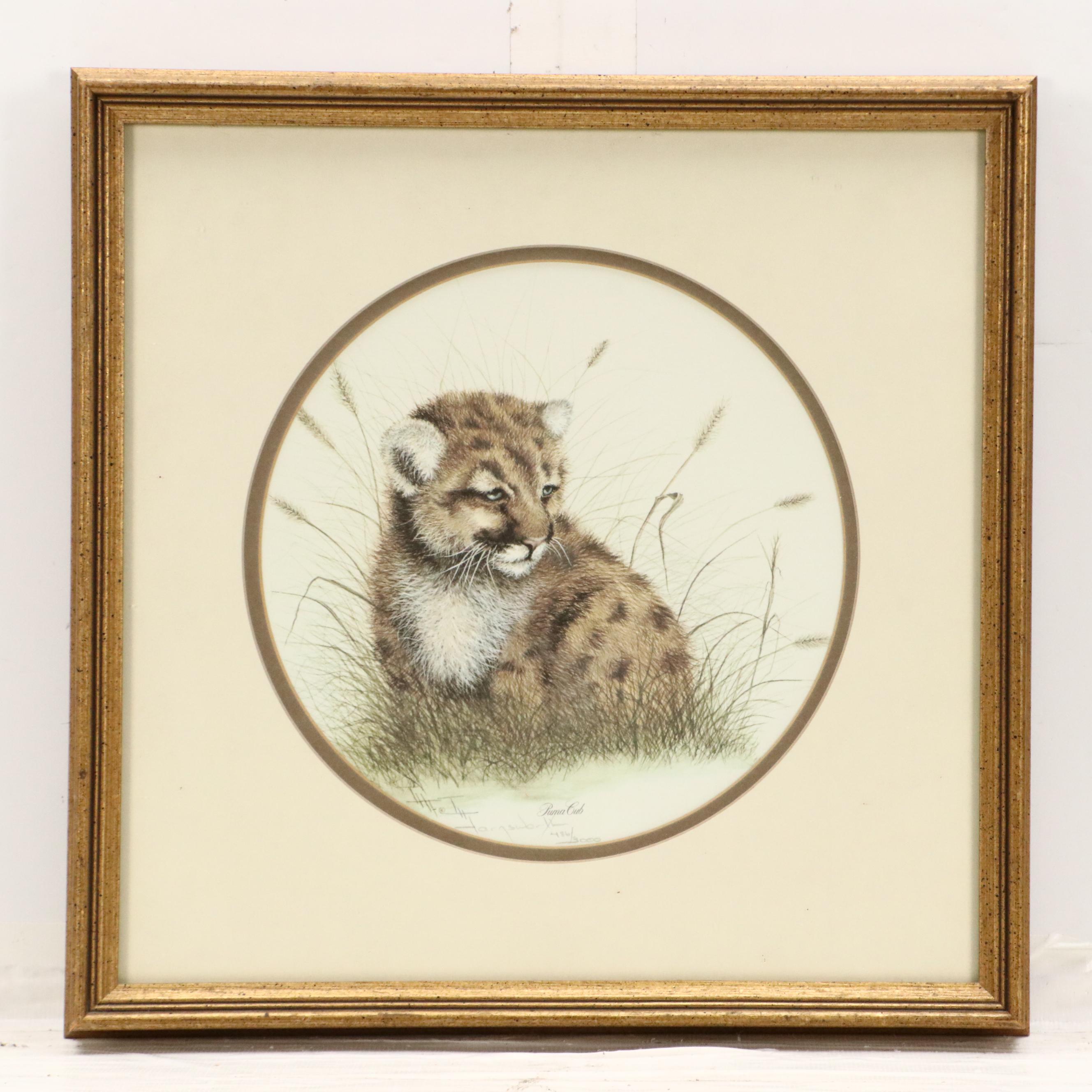 Imogene H. Farnsworth Offset Lithographs "Puma Cub" and "Lion Cub"
