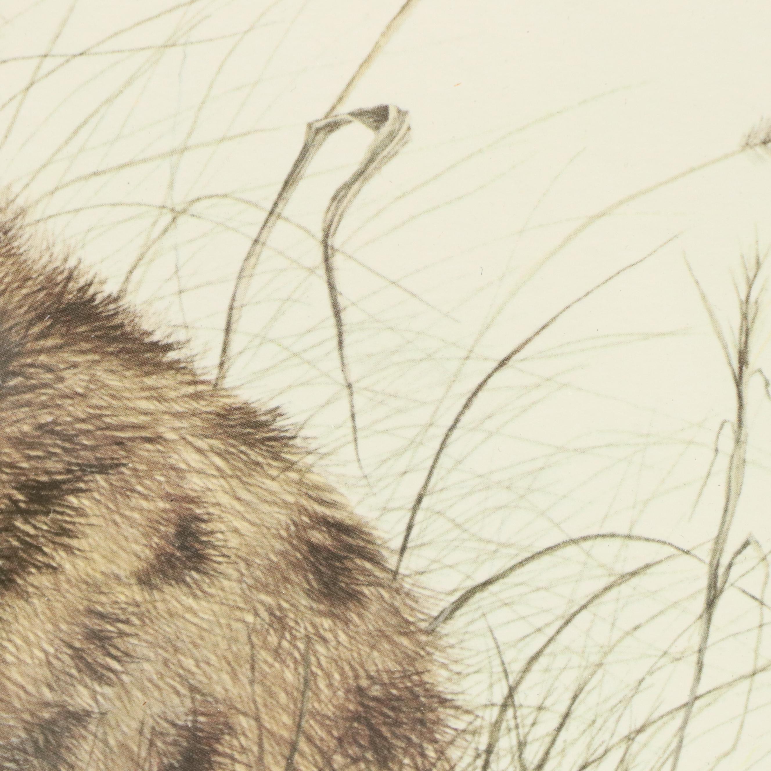 Imogene H. Farnsworth Offset Lithographs "Puma Cub" and "Lion Cub"