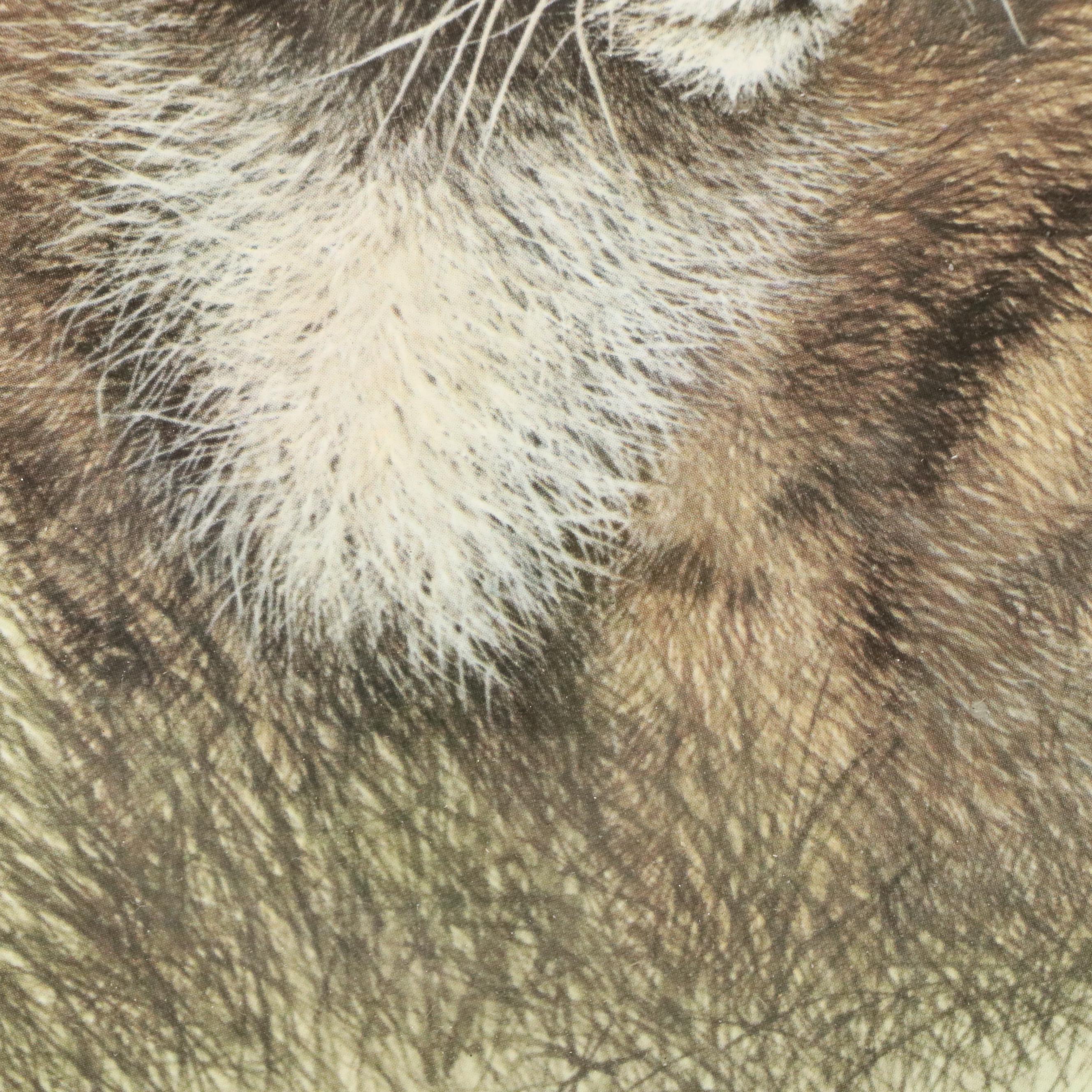 Imogene H. Farnsworth Offset Lithographs "Puma Cub" and "Lion Cub"