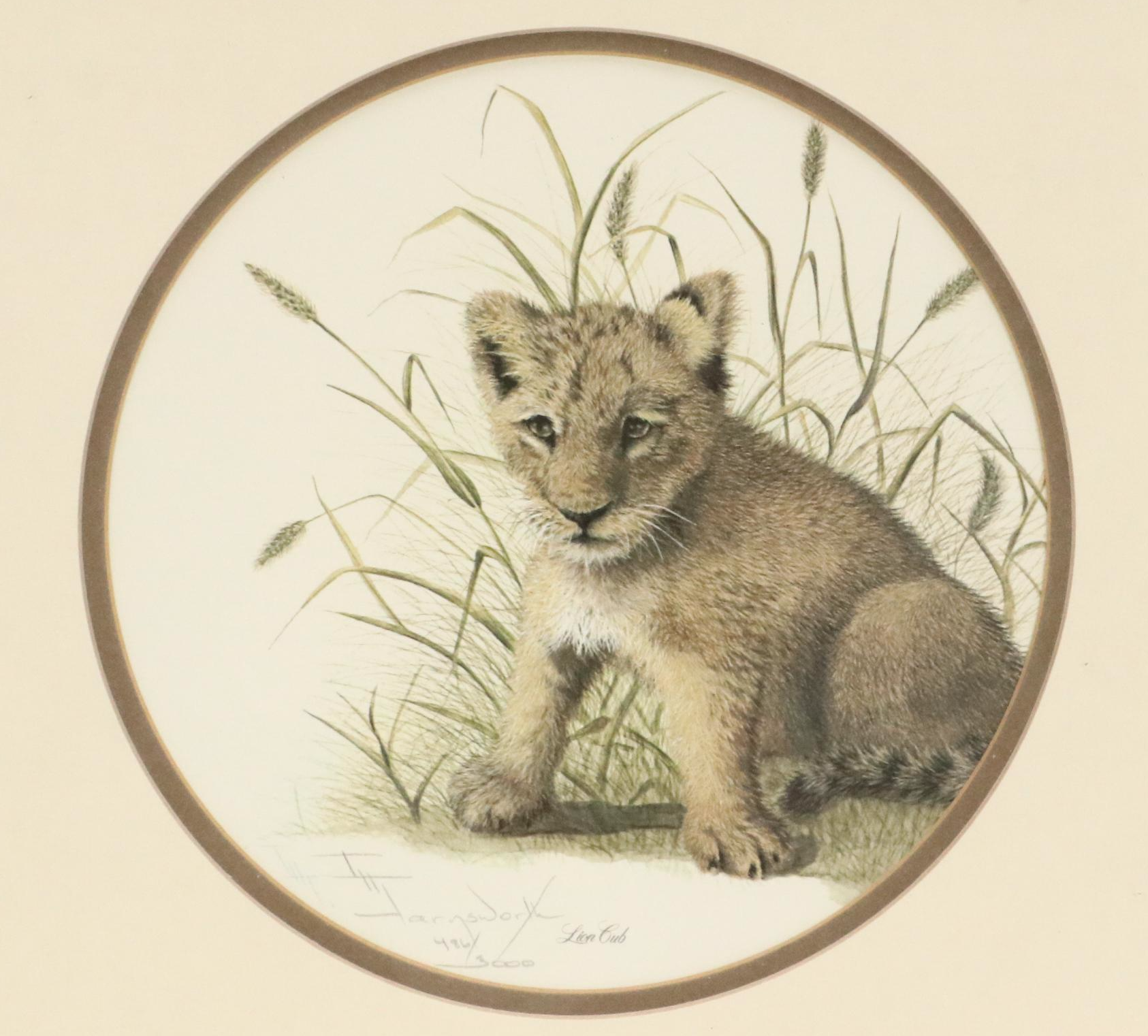 Imogene H. Farnsworth Offset Lithographs "Puma Cub" and "Lion Cub"