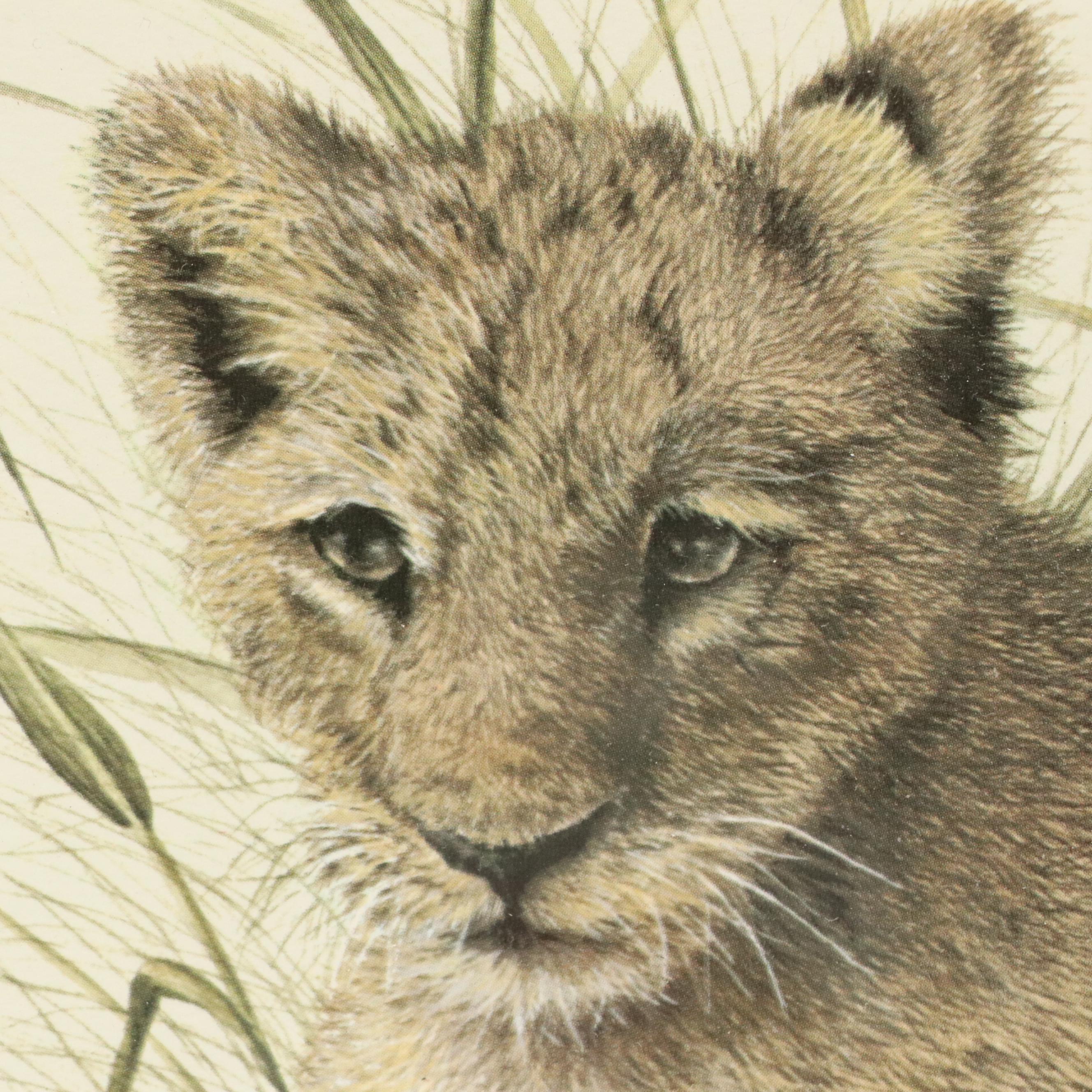Imogene H. Farnsworth Offset Lithographs "Puma Cub" and "Lion Cub"