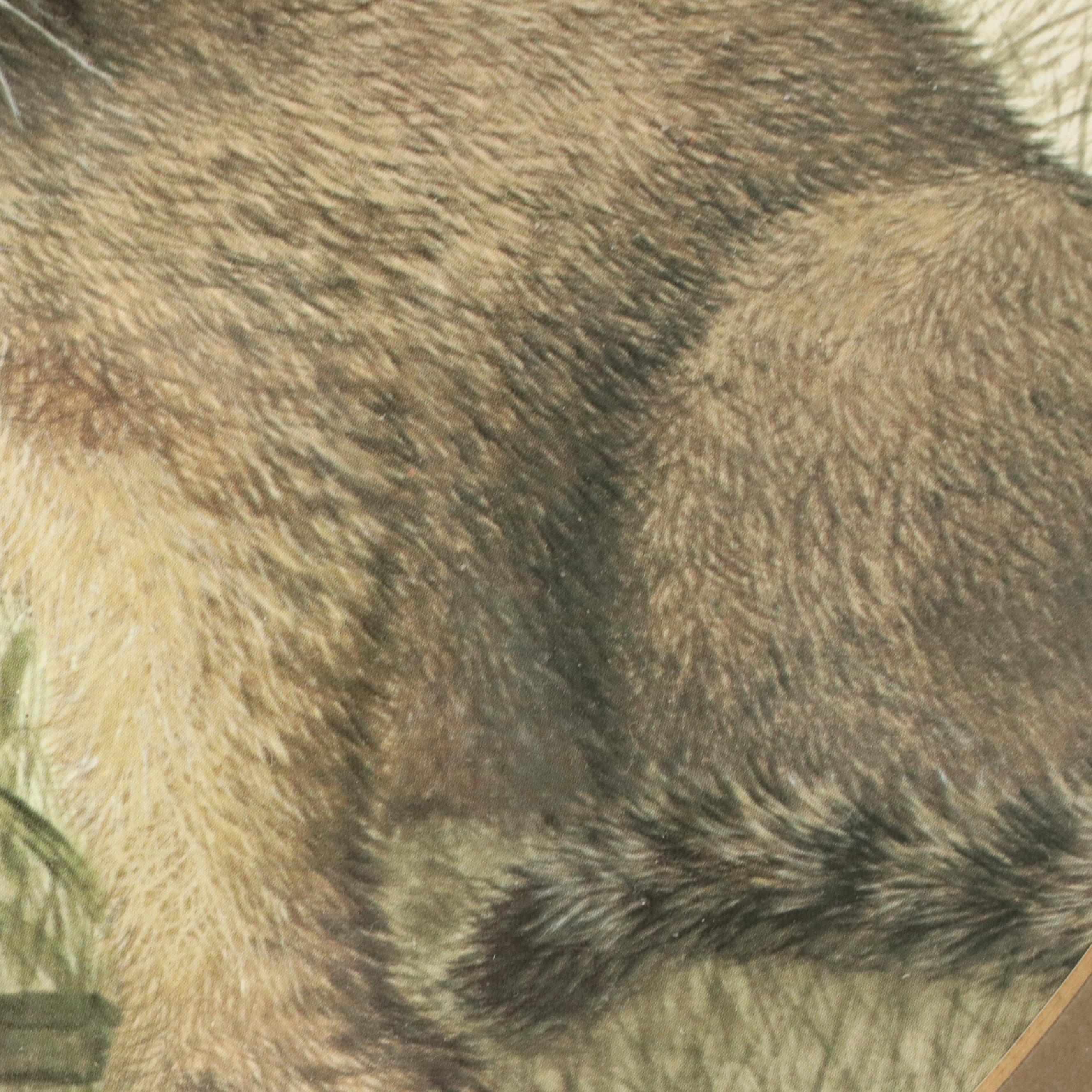 Imogene H. Farnsworth Offset Lithographs "Puma Cub" and "Lion Cub"