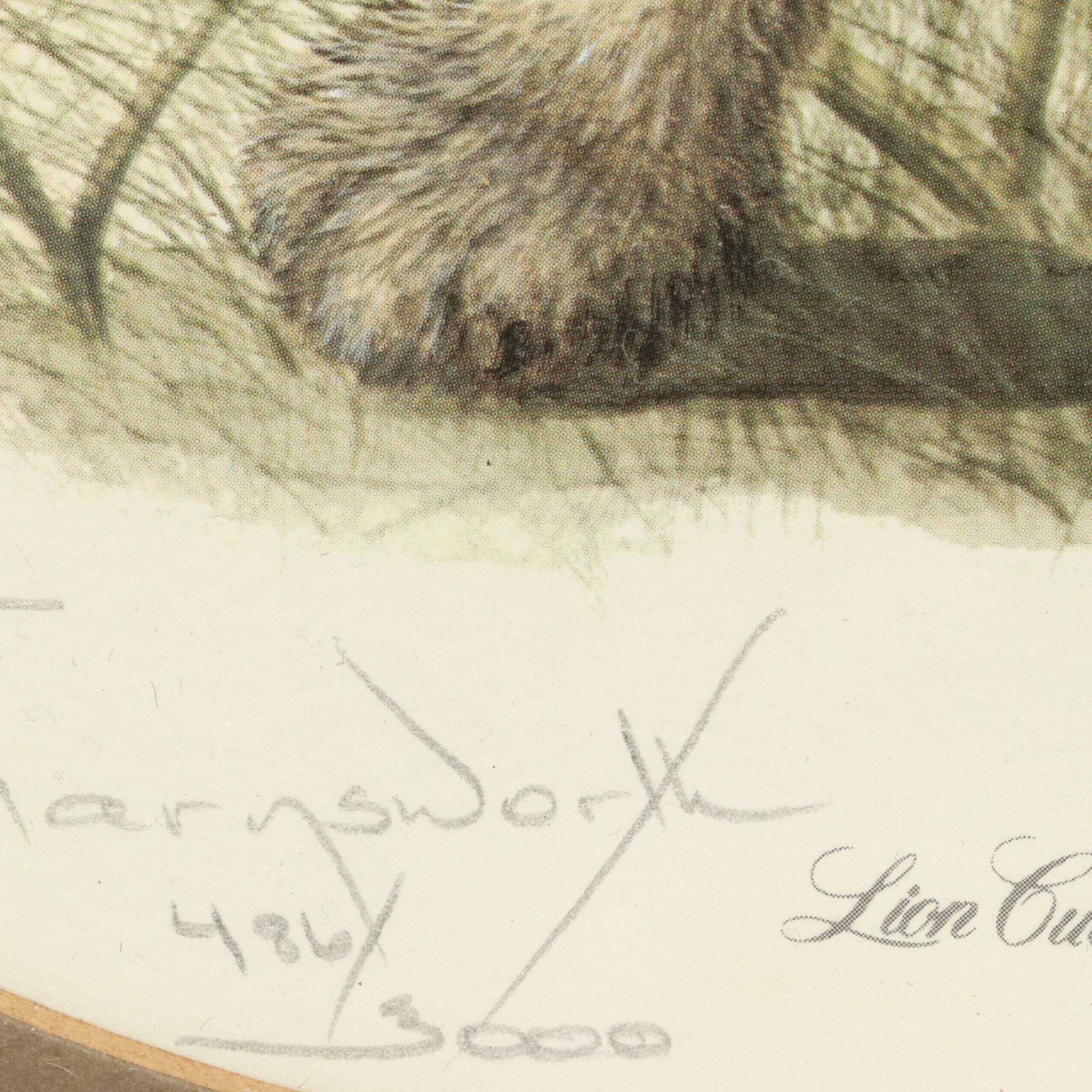 Imogene H. Farnsworth Offset Lithographs "Puma Cub" and "Lion Cub"