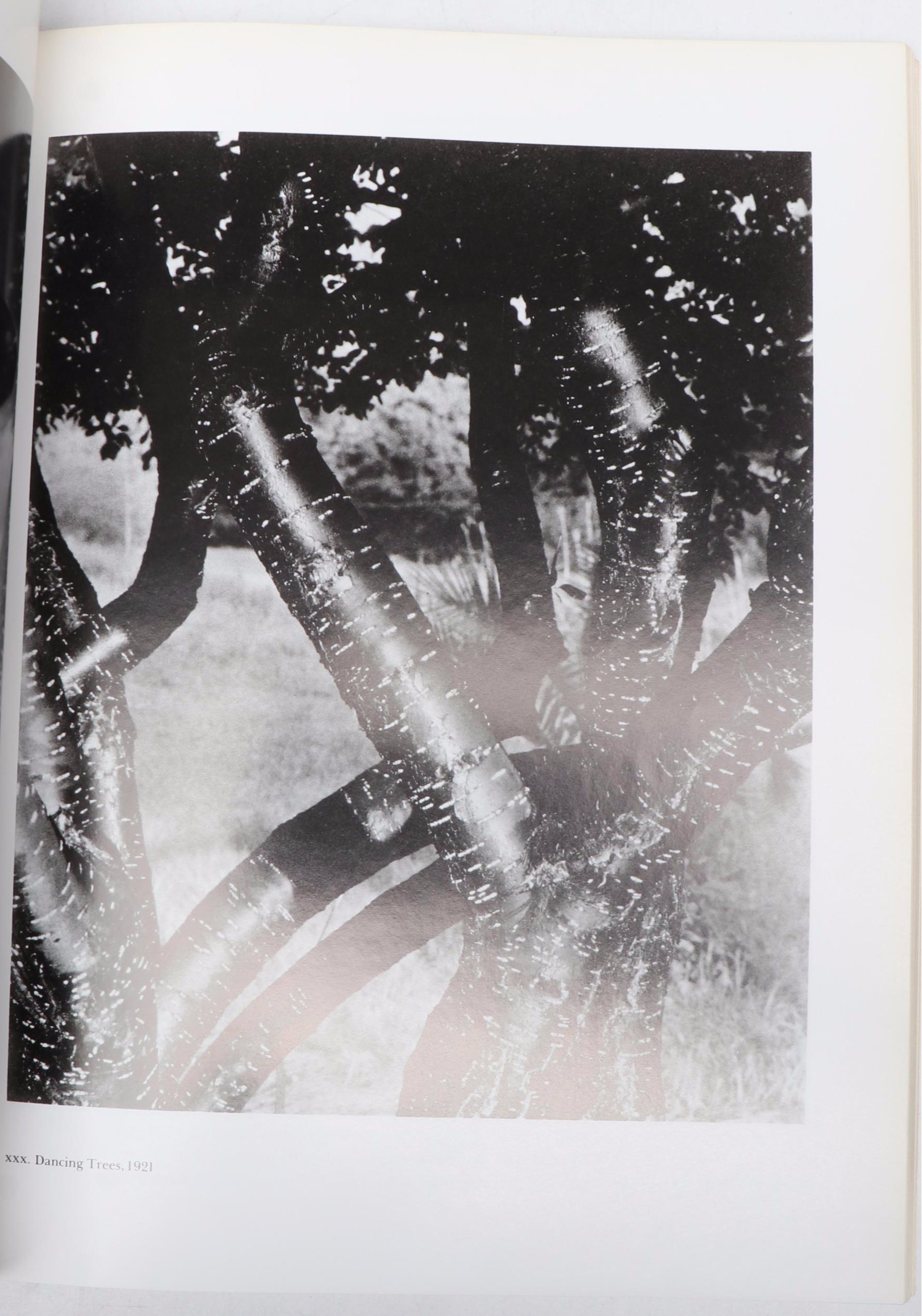 "One Thousand Drawings," "Alfred Stiegliz: An American Seer," and More Art Books