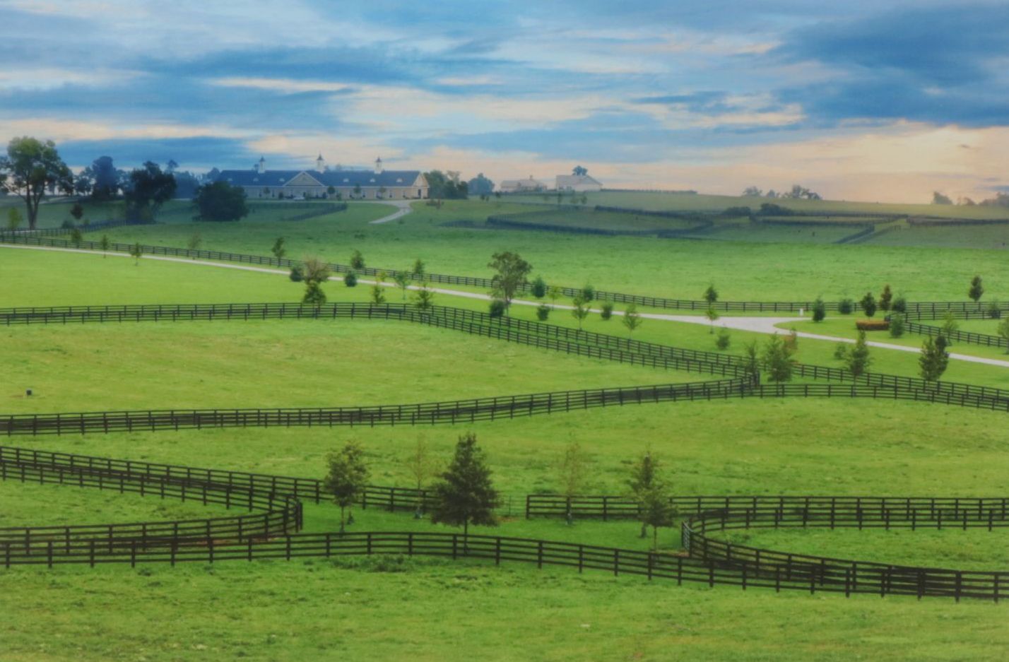 Giclée Landscape Photograph Poster of Kentucky Horse Farm, Early 21st Century