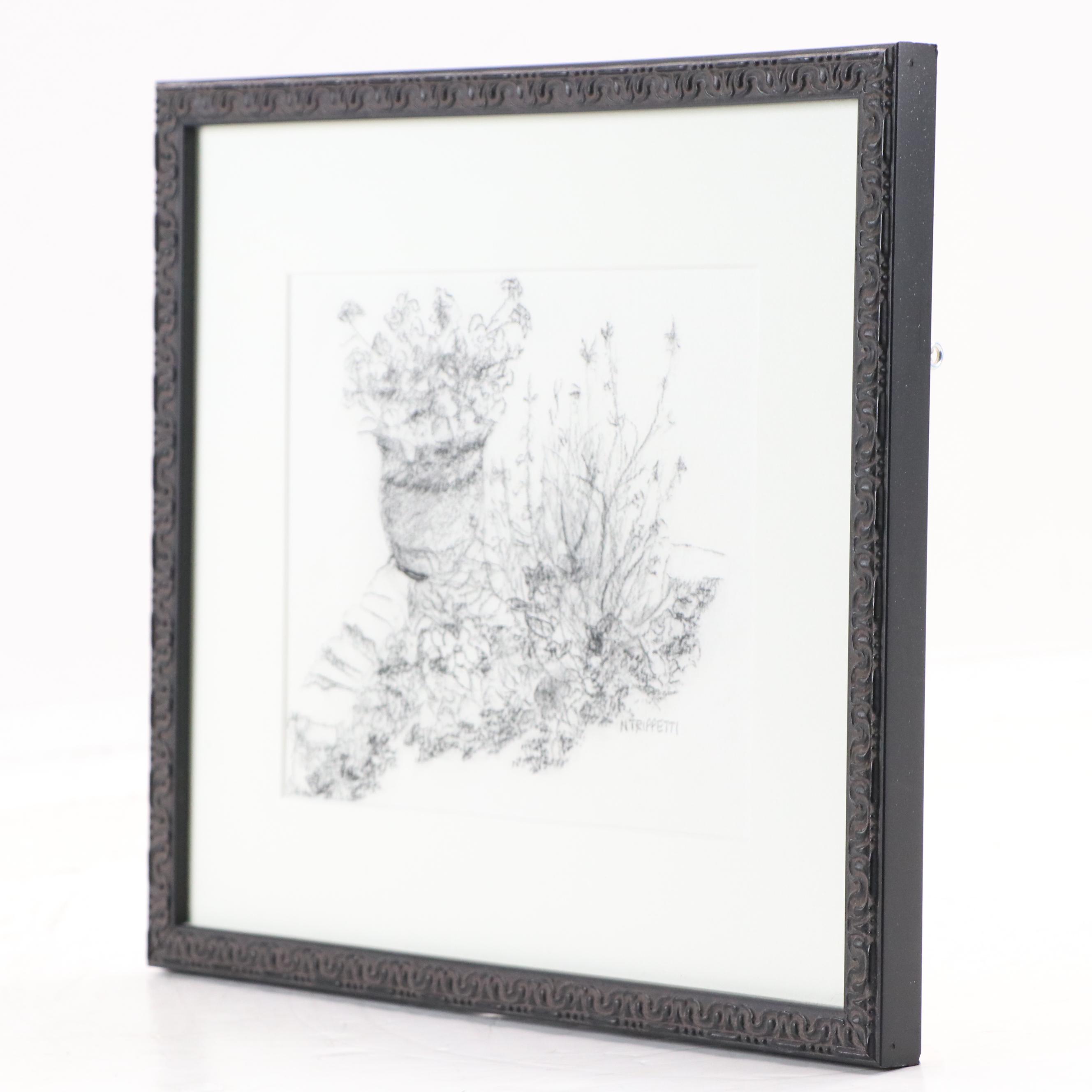 N. Trippetti Garden Drawing