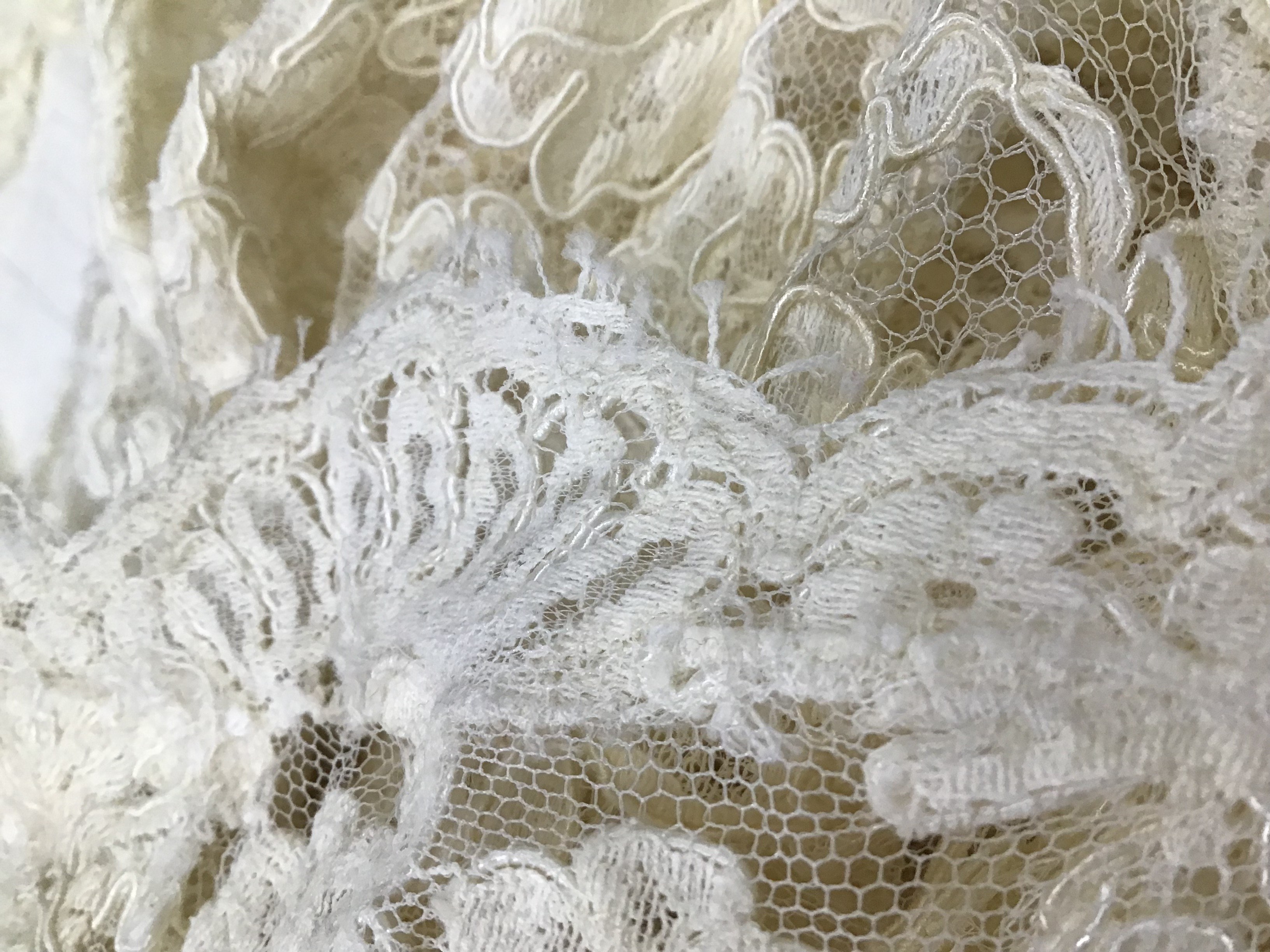 Floral Lace Mermaid Style Gown with Slip