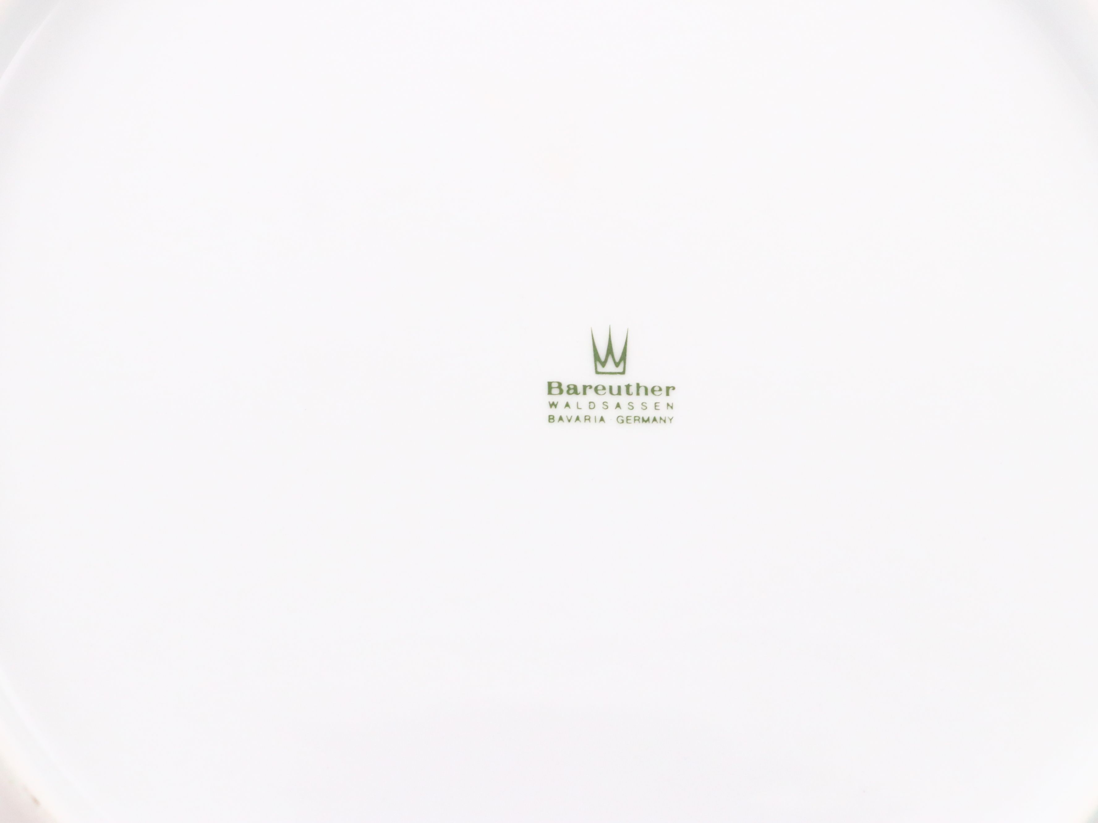 Bareuther Bavarian Hand-Painted Ceramic Dinnerware