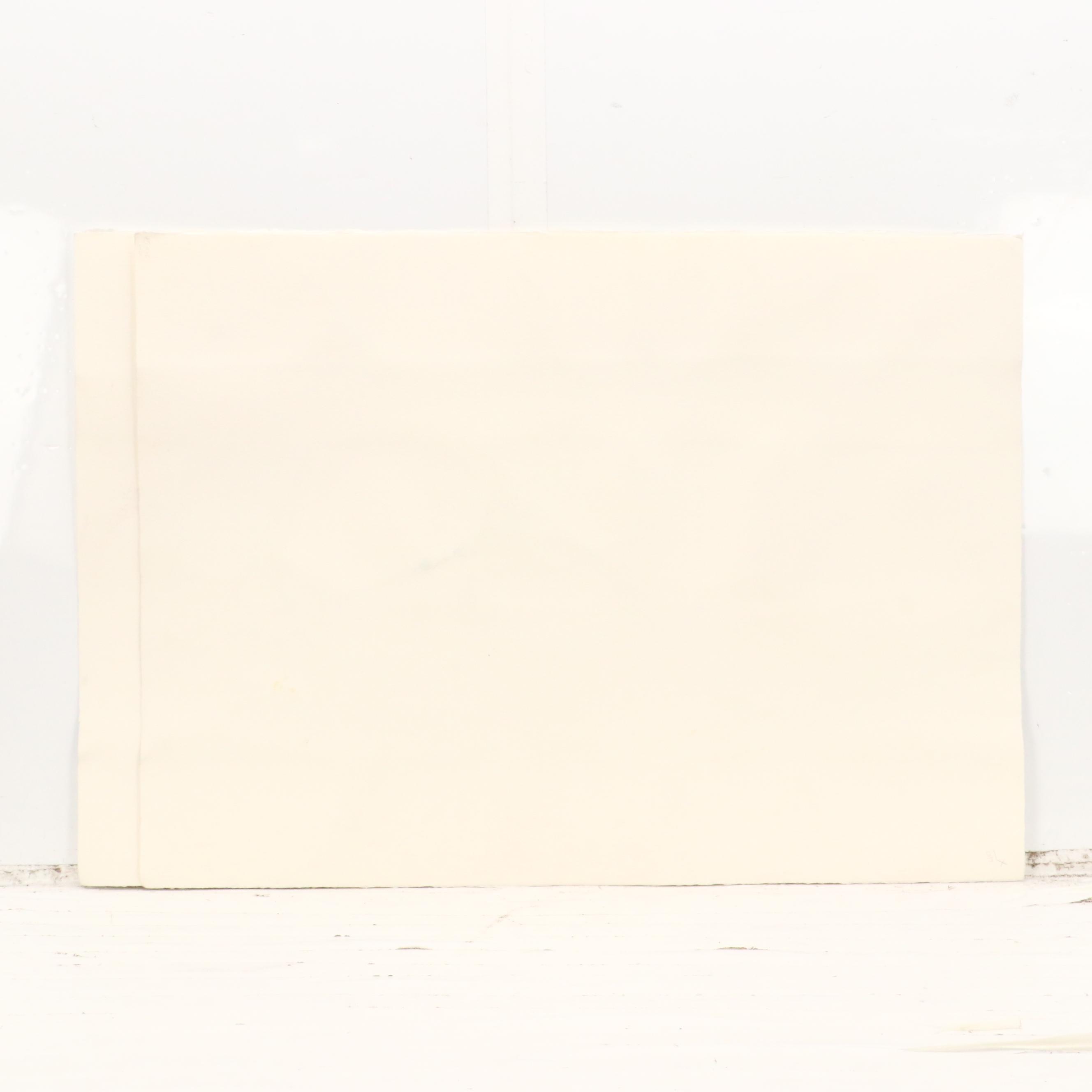 Susan Snyder Abstract Diptych Watercolor Painting, 1986