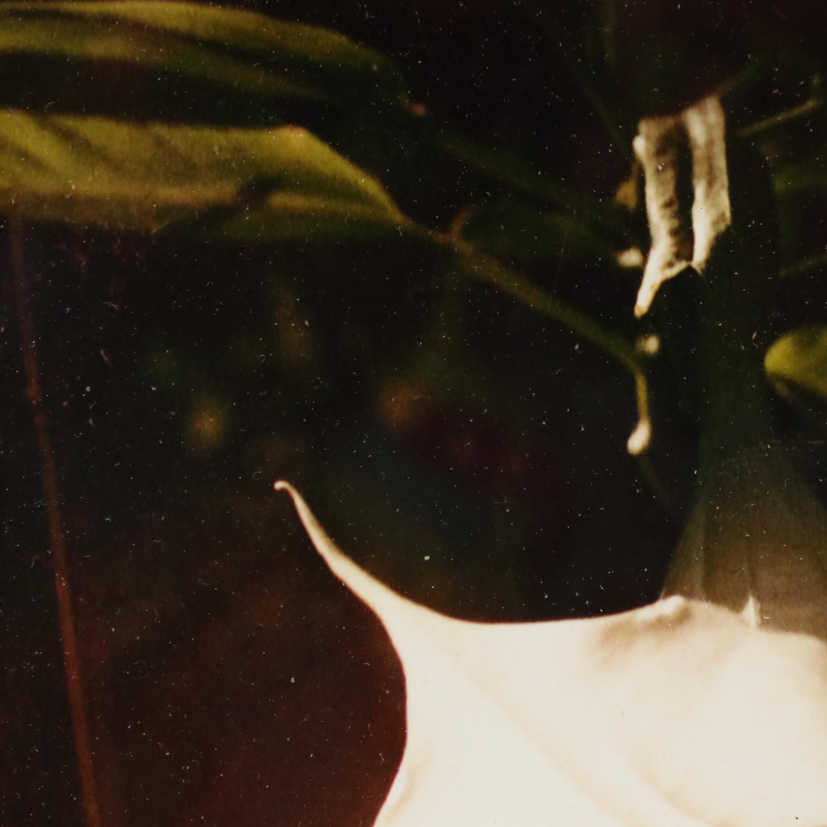 Robert Beaven Folk Art Handmade Wood Frames, 20th Century