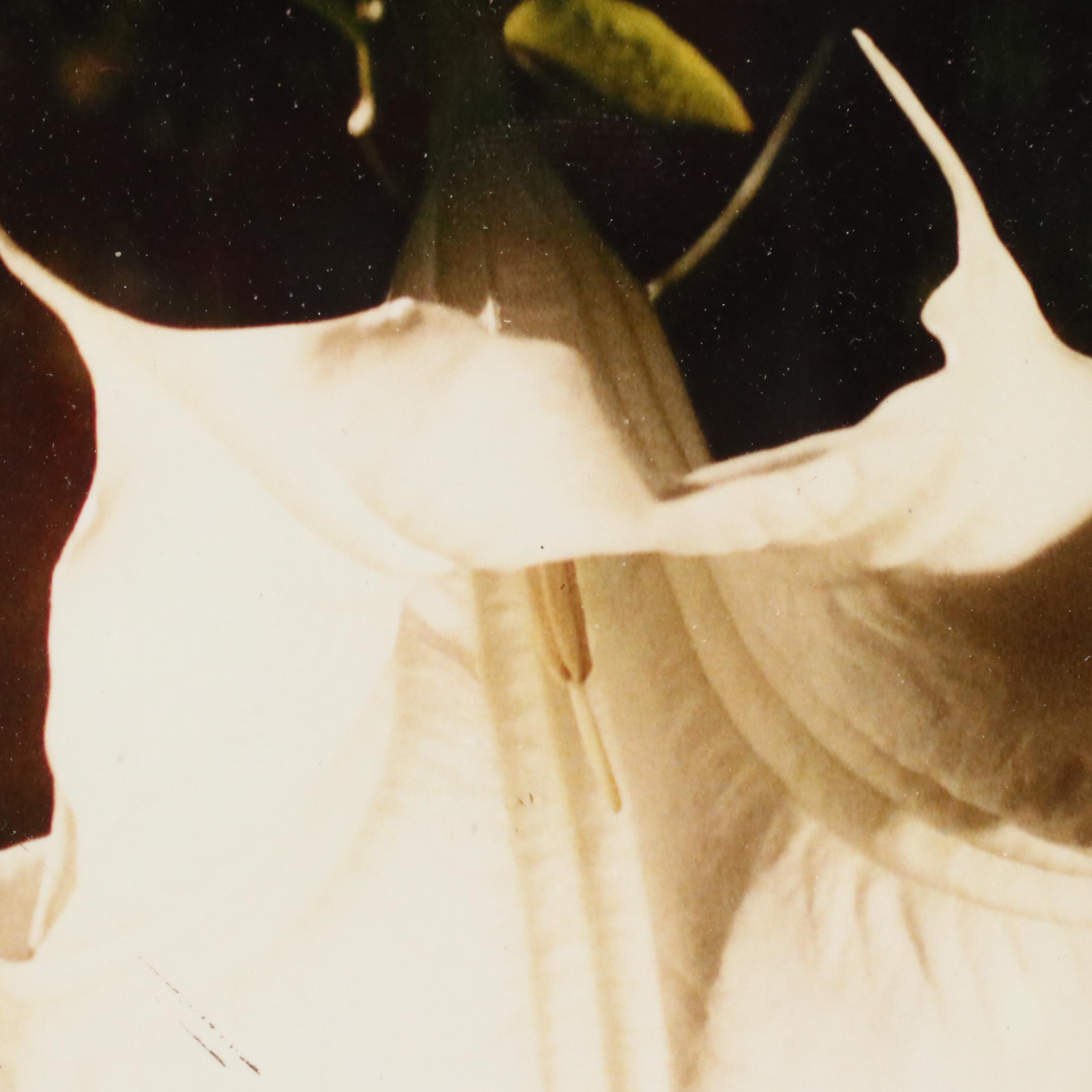 Robert Beaven Folk Art Handmade Wood Frames, 20th Century