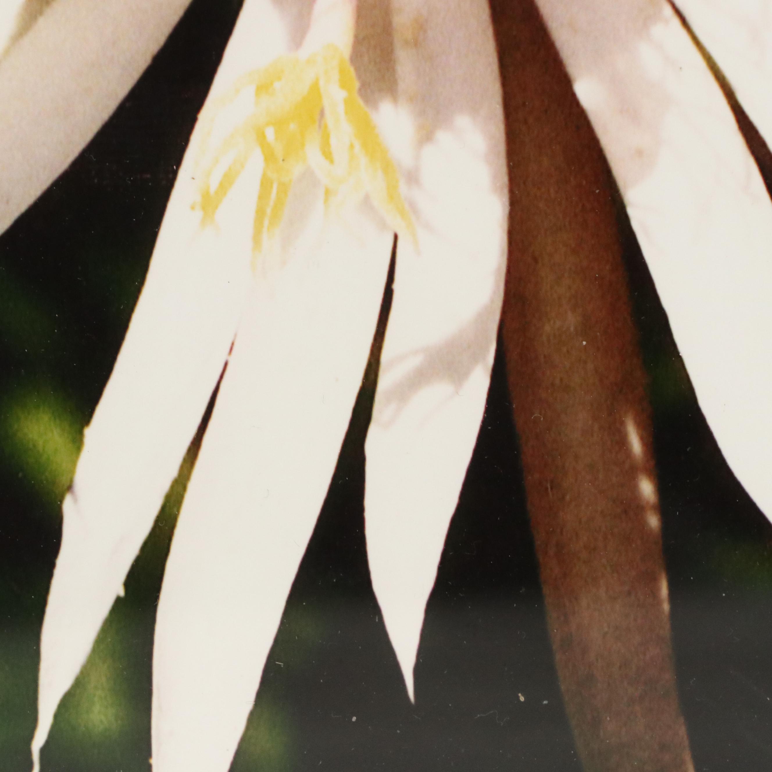 Robert Beaven Folk Art Handmade Wood Frames, 20th Century